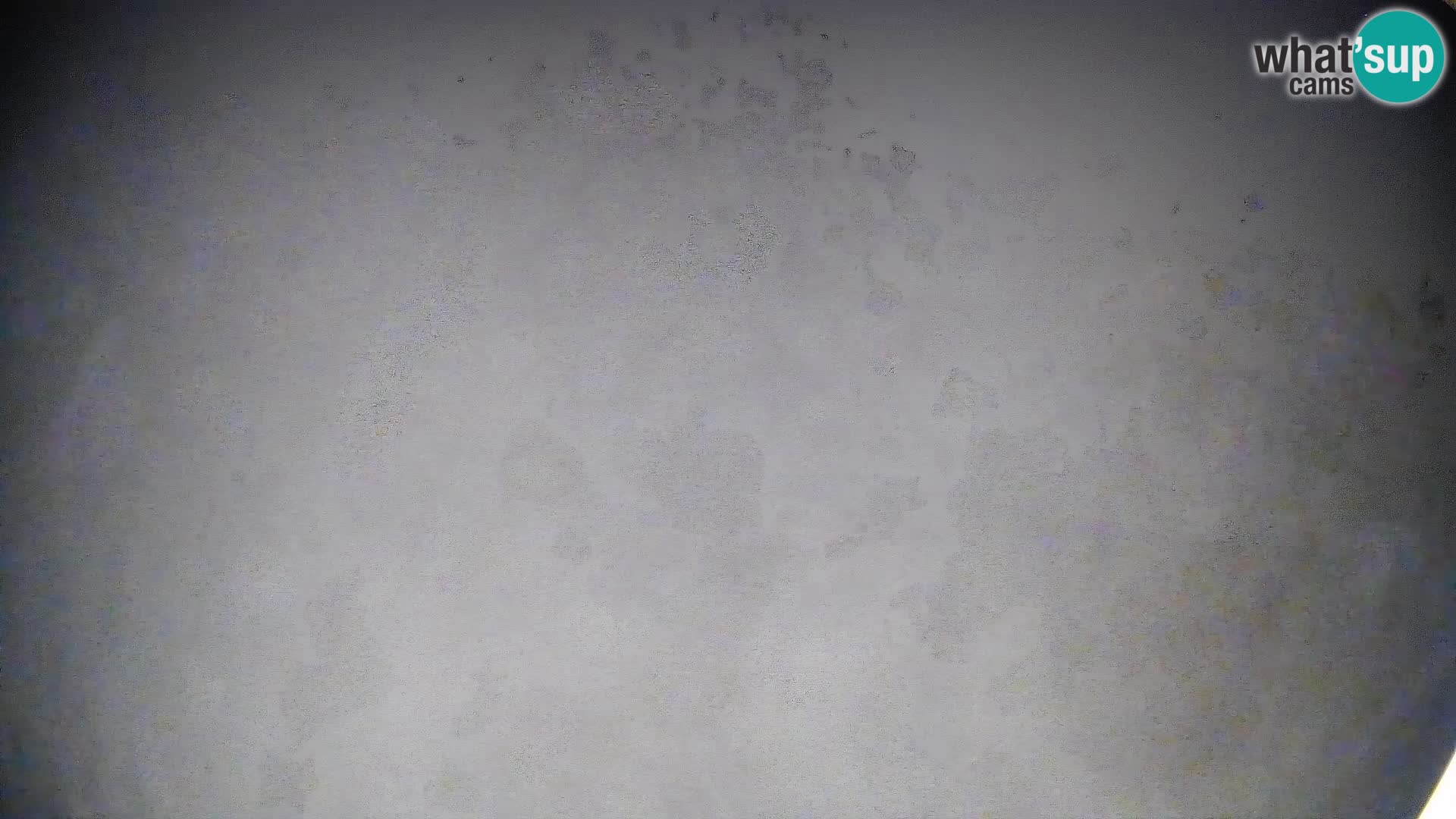 Cámara en vivo Bohinjska Bistrica – Vista en directo desde la estación de esquí Kozji Hrbet