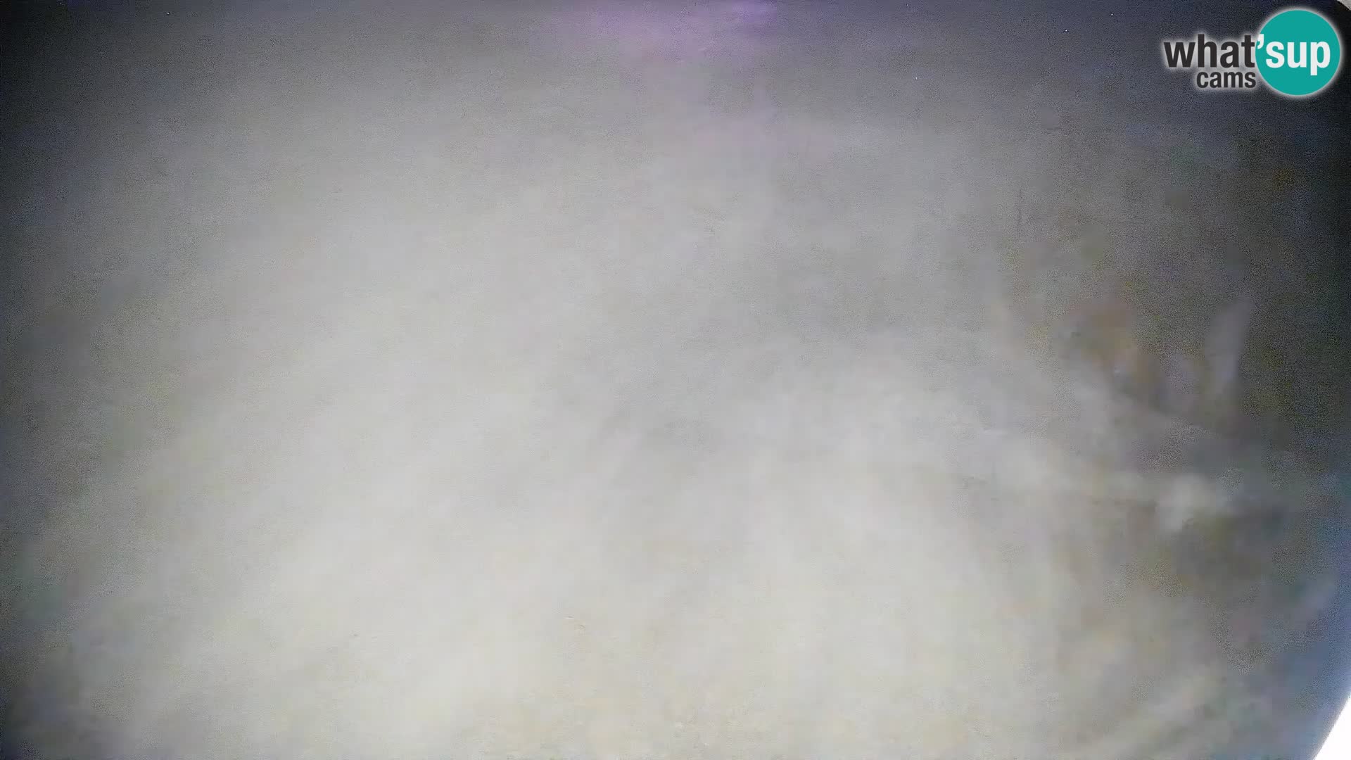 Cámara en vivo Bohinjska Bistrica – Vista en directo desde la estación de esquí Kozji Hrbet