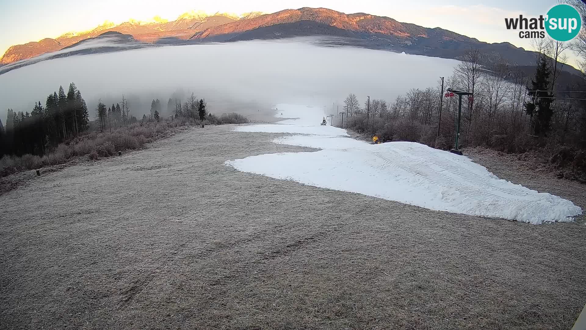 Webcam Bohinjska Bistrica – Vue en direct depuis la station de ski Kozji Hrbet