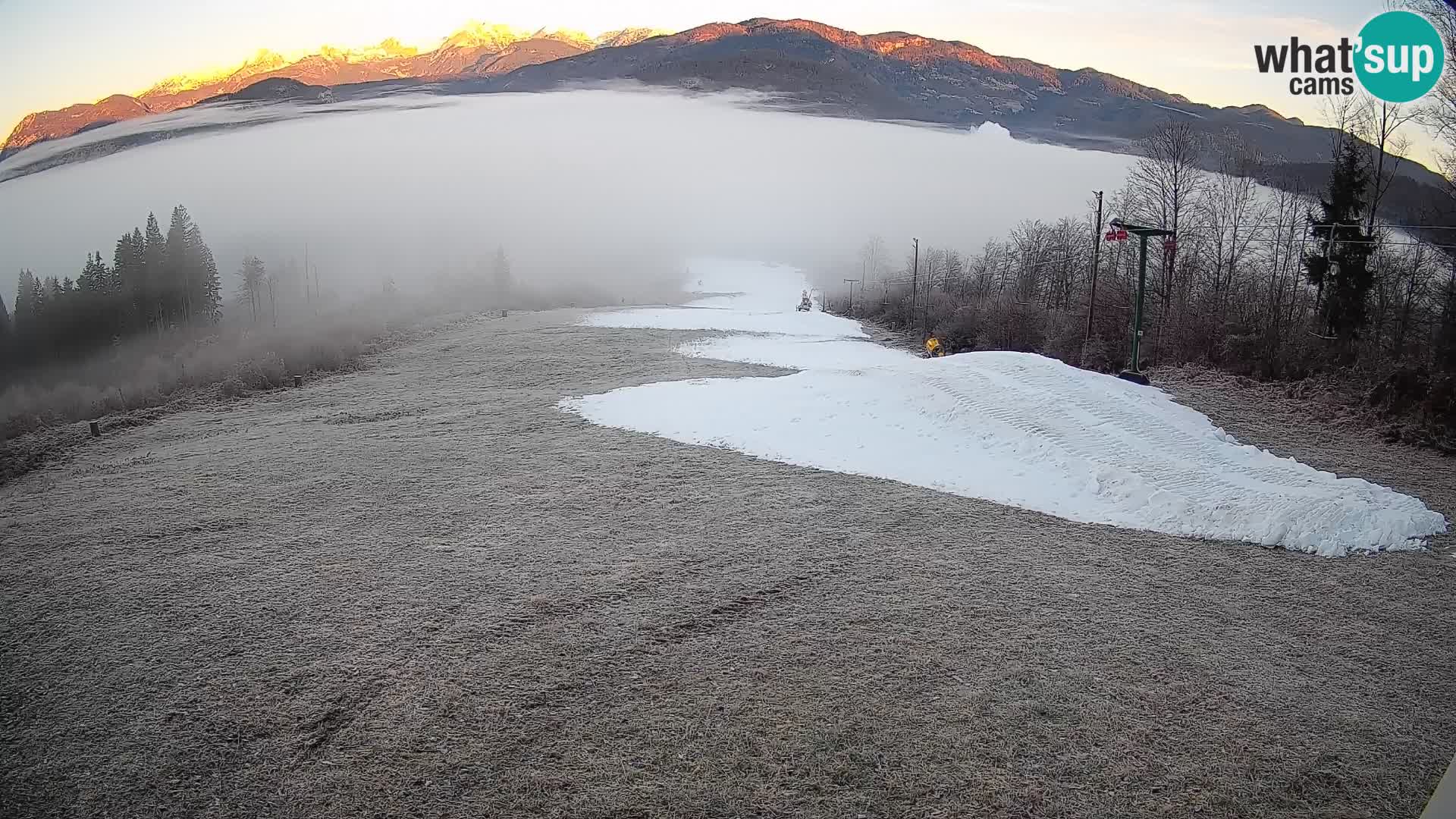 Webcam Bohinjska Bistrica – Live View from Kozji Hrbet Ski Station