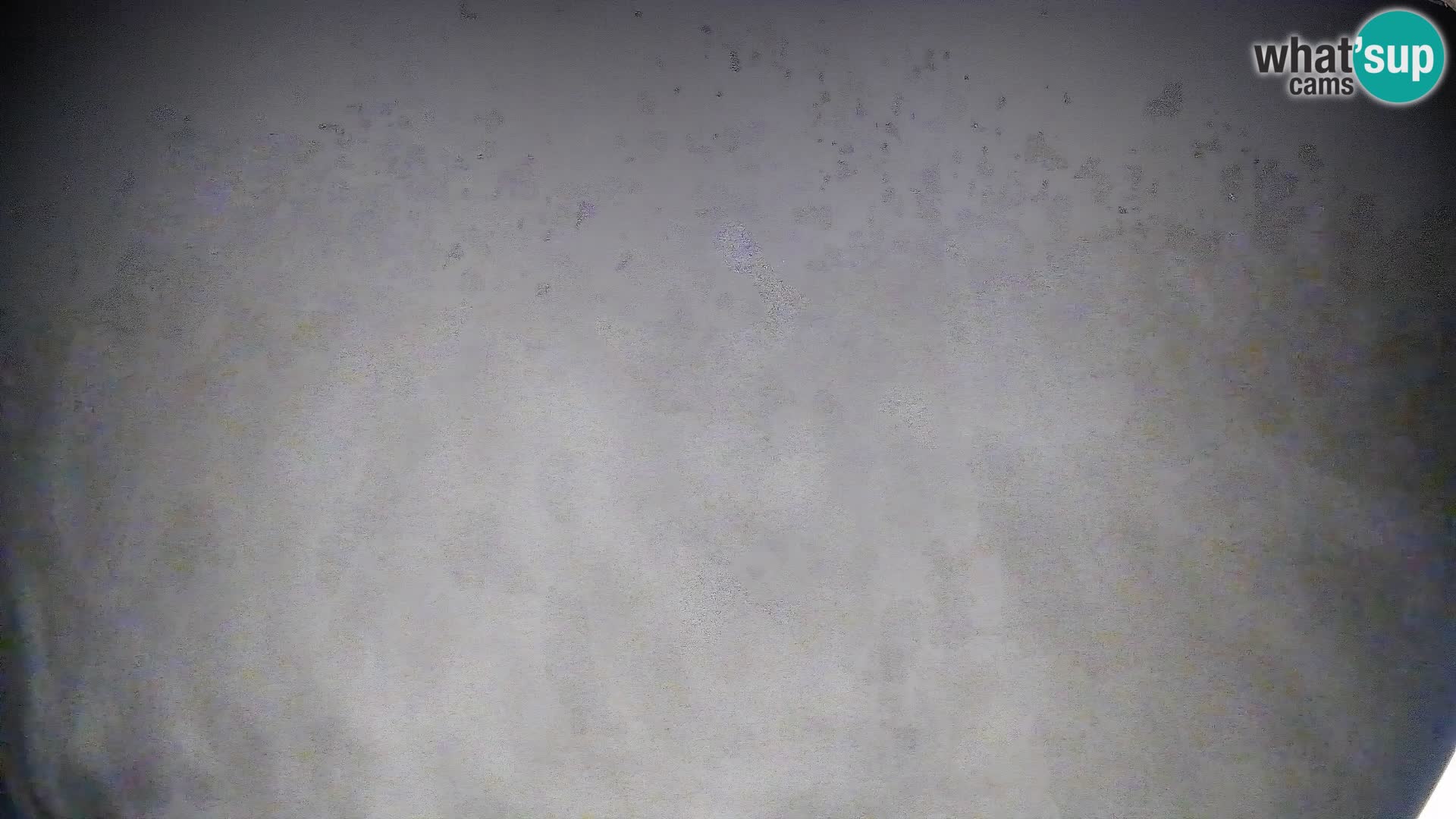 Livekamera Bohinjska Bistrica – Liveblick von der Skistation Kozji Hrbet