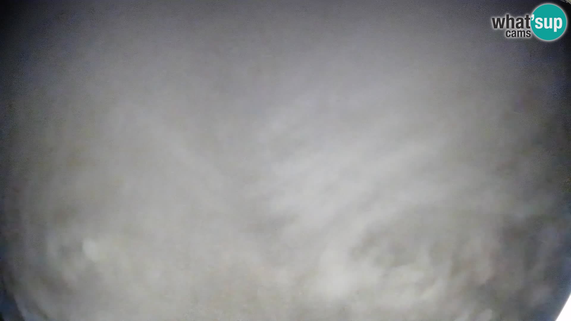 Webcam Bohinjska Bistrica – Vue en direct depuis la station de ski Kozji Hrbet