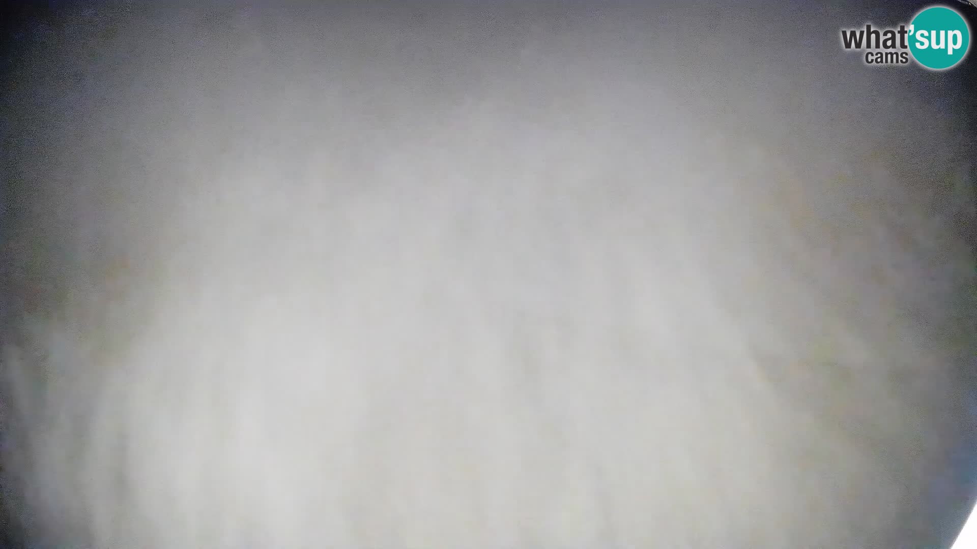 Webcam Bohinjska Bistrica – Live View from Kozji Hrbet Ski Station