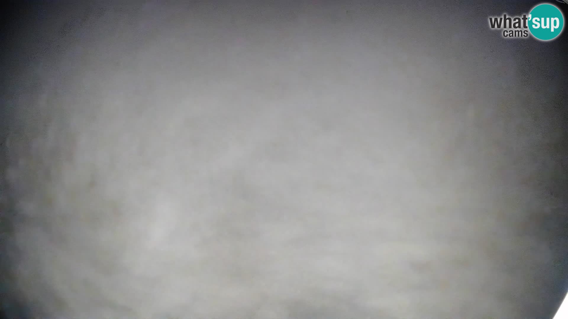 Webcam Bohinjska Bistrica – Vista live dalla stazione sciistica Kozji Hrbet