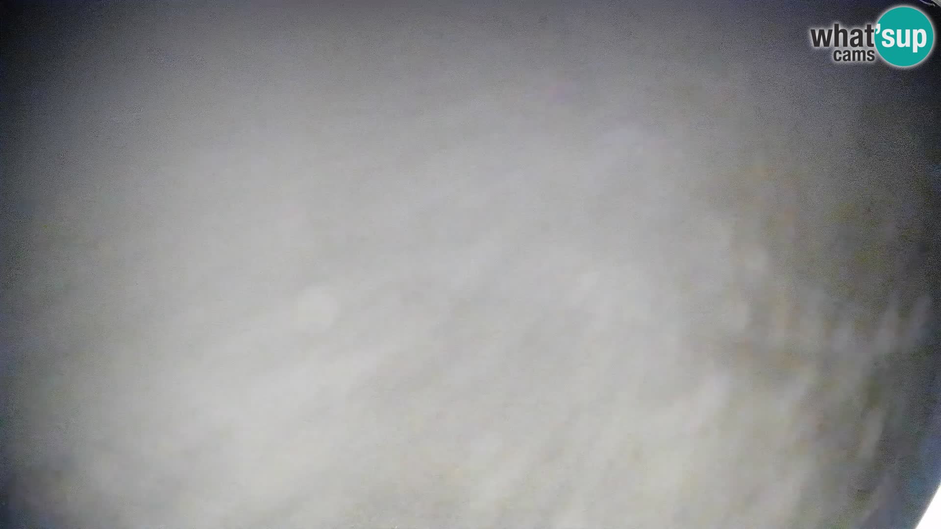 Spletna kamera Bohinjska Bistrica – Pogled v živo s smučišča Kozji Hrbet