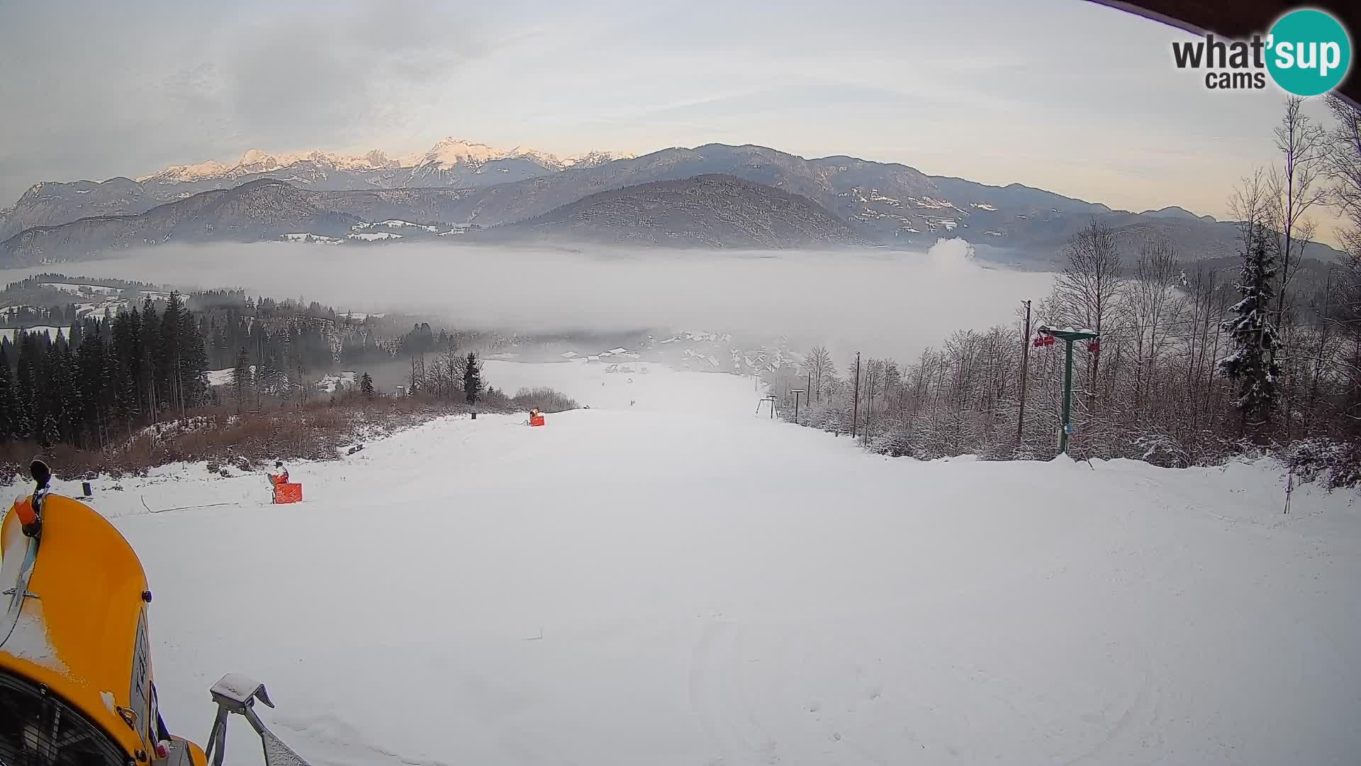Webcam Bohinjska Bistrica – Vue en direct depuis la station de ski Kozji Hrbet