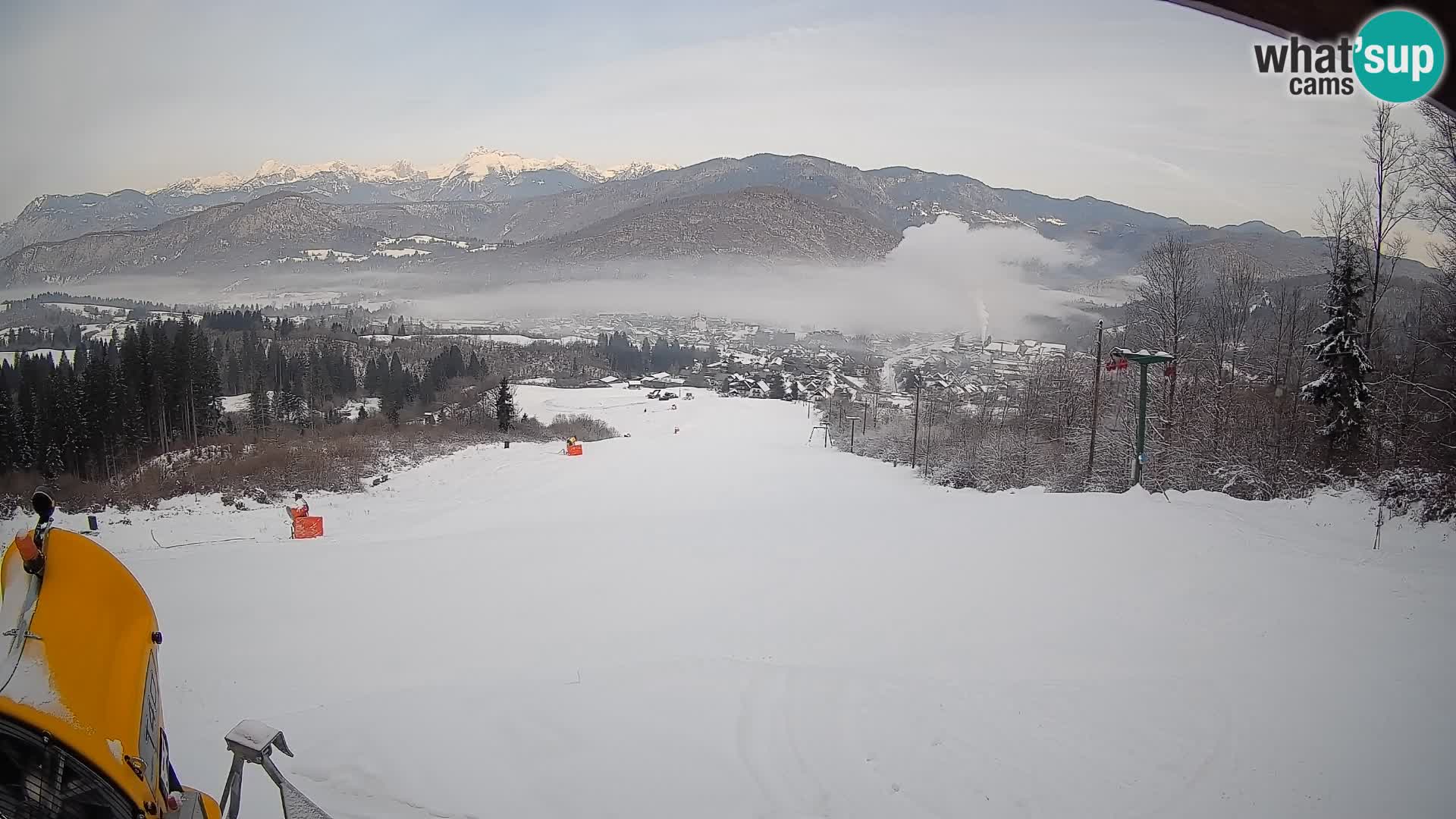 Spletna kamera Bohinjska Bistrica – Pogled v živo s smučišča Kozji Hrbet