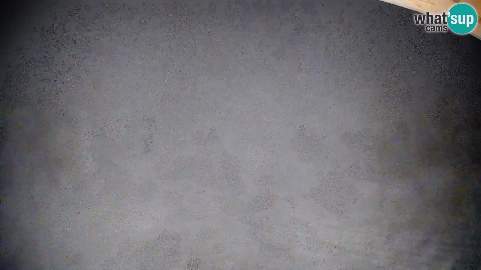 Webcam Bohinjska Bistrica – Live View from Kozji Hrbet Ski Station