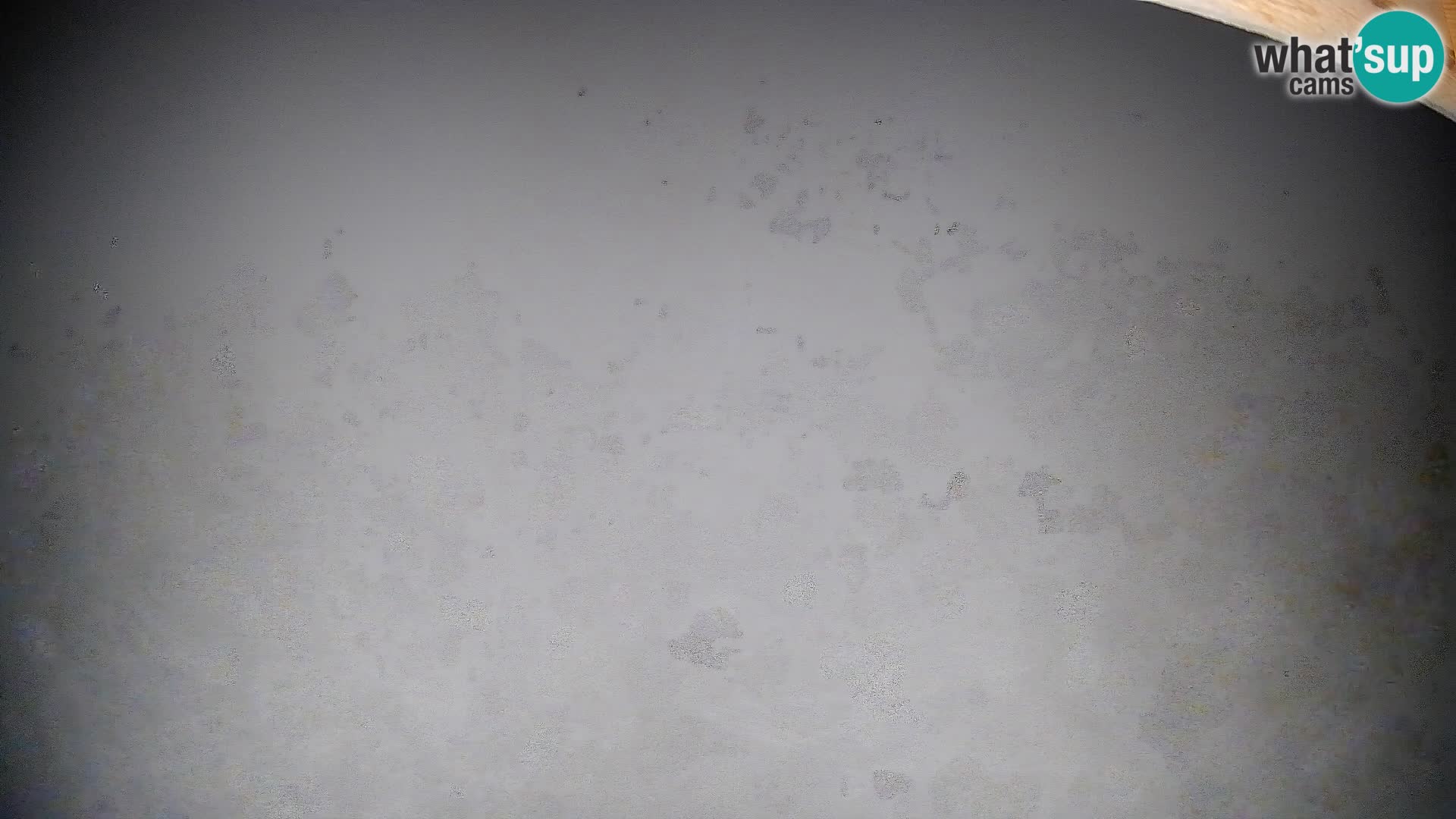 Webcam Bohinjska Bistrica – Vue en direct depuis la station de ski Kozji Hrbet