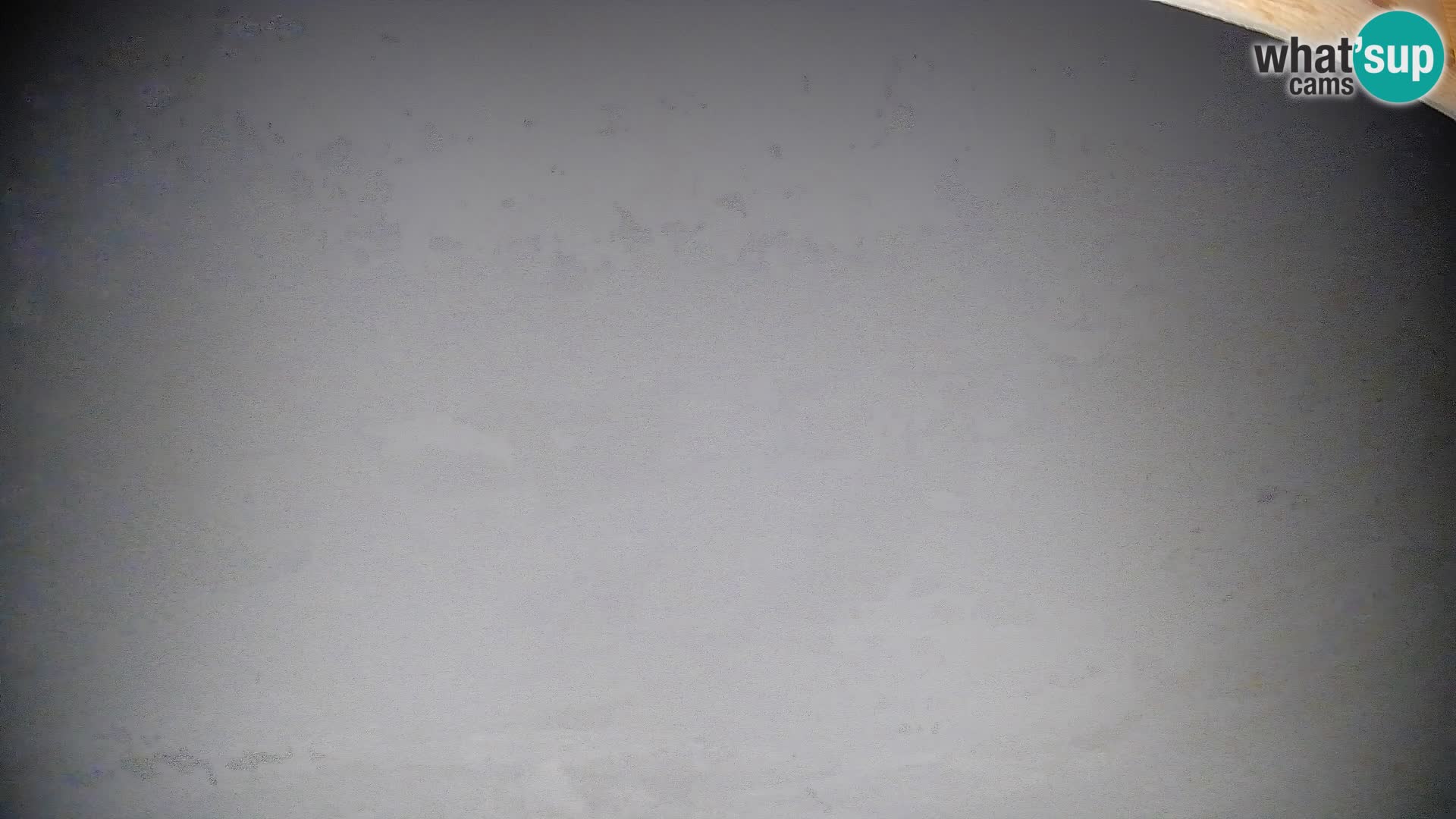 Webcam Bohinjska Bistrica – Vista live dalla stazione sciistica Kozji Hrbet