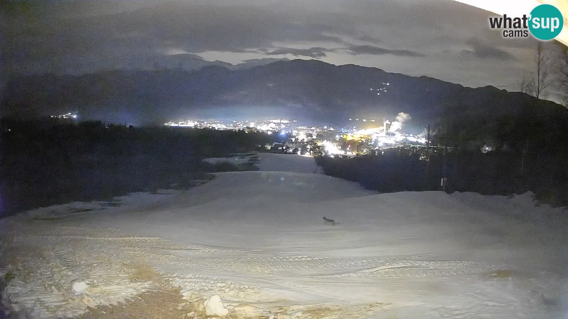 Livekamera Bohinjska Bistrica – Liveblick von der Skistation Kozji Hrbet