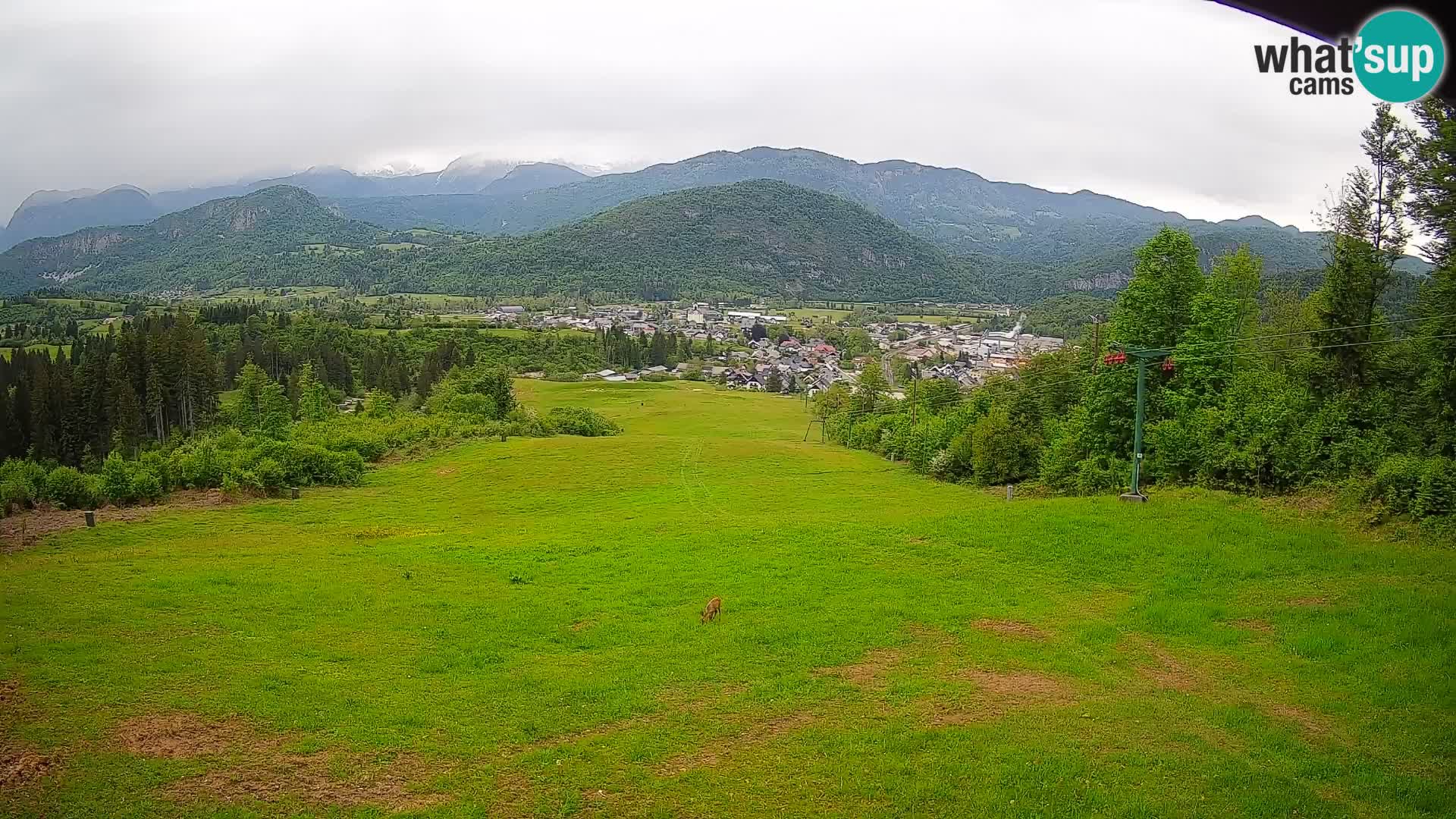 Webcam Bohinjska Bistrica – Vue en direct depuis la station de ski Kozji Hrbet