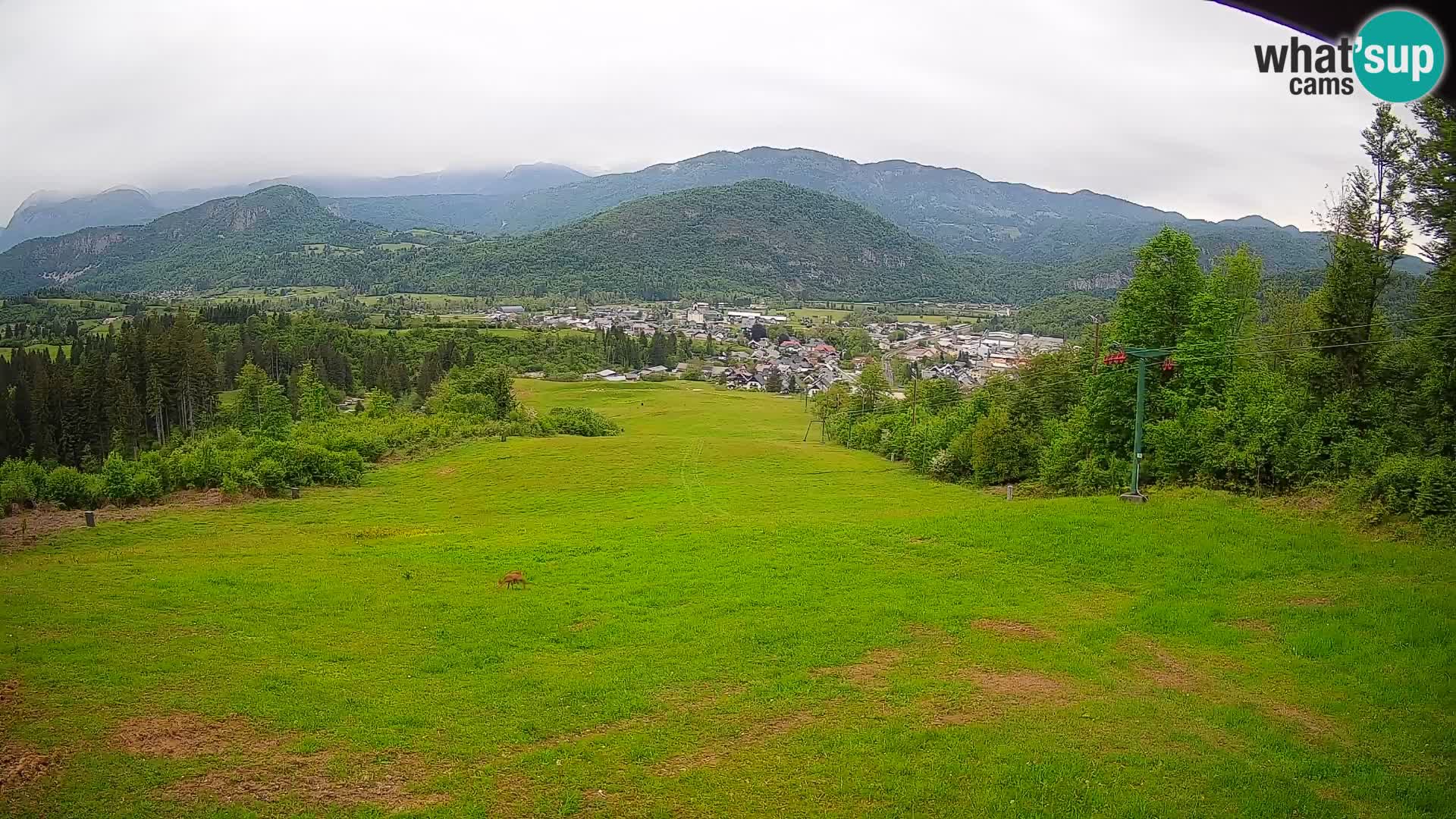 Cámara en vivo Bohinjska Bistrica – Vista en directo desde la estación de esquí Kozji Hrbet