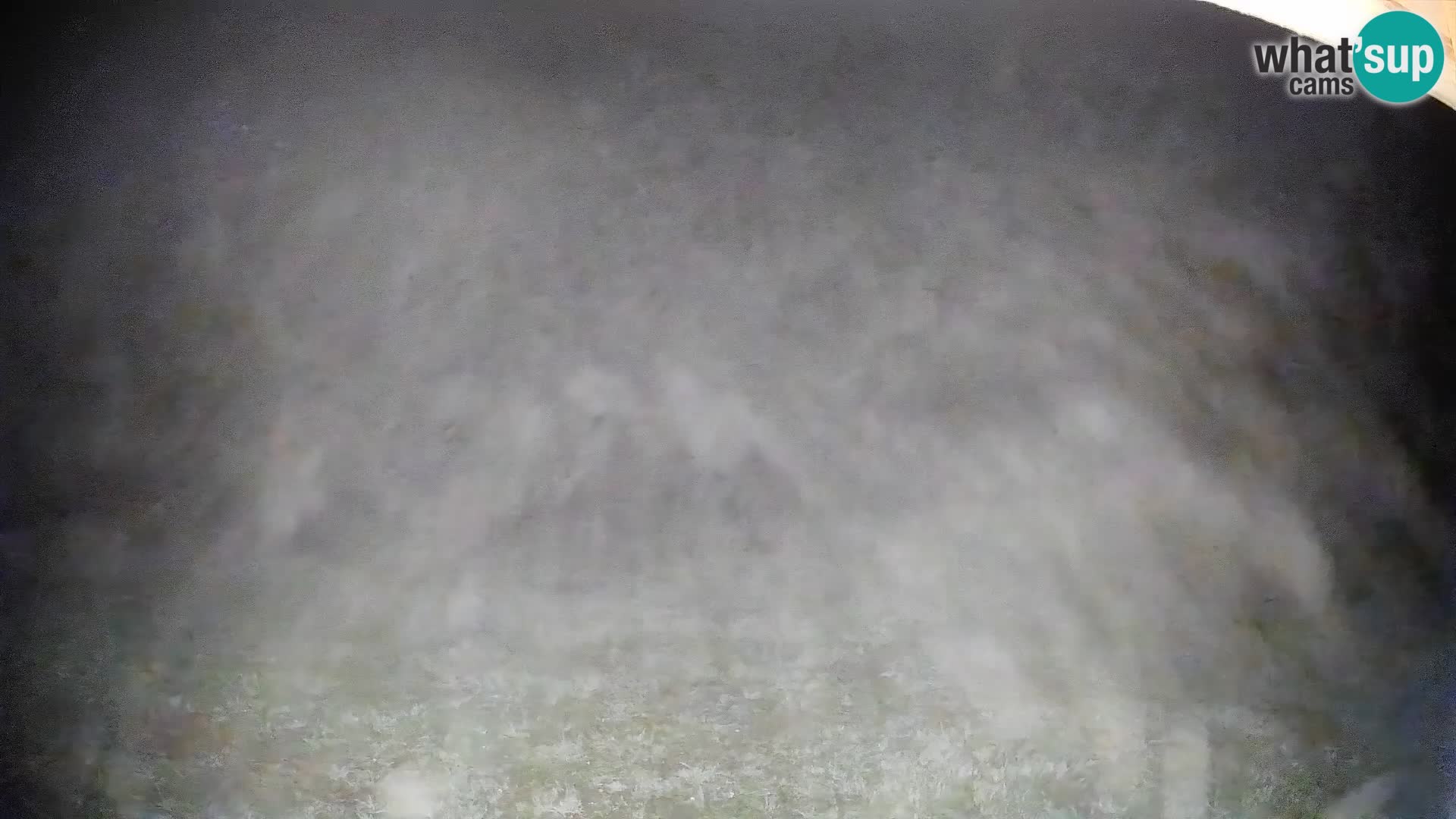 Webcam Bohinjska Bistrica – Live View from Kozji Hrbet Ski Station