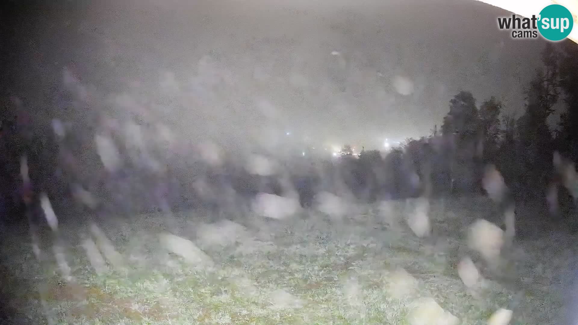 Livekamera Bohinjska Bistrica – Liveblick von der Skistation Kozji Hrbet