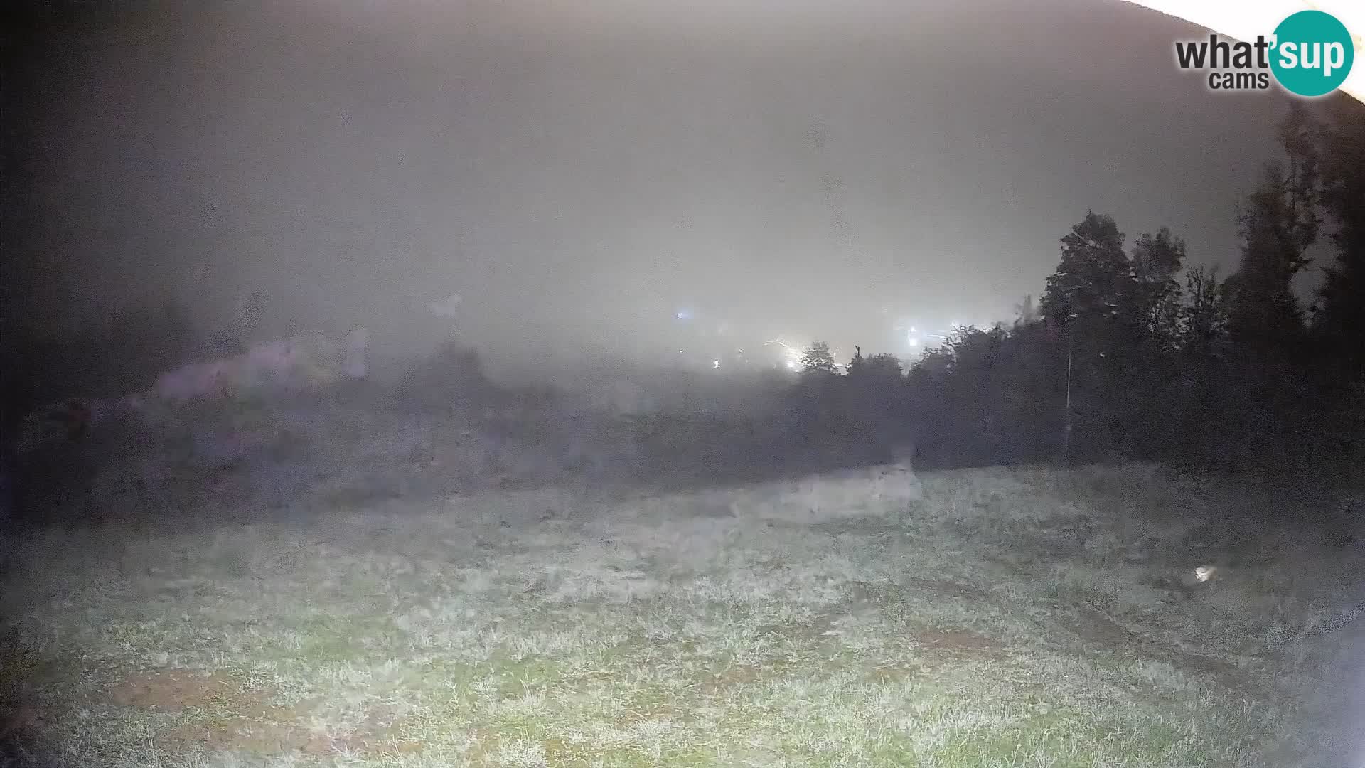Livekamera Bohinjska Bistrica – Liveblick von der Skistation Kozji Hrbet