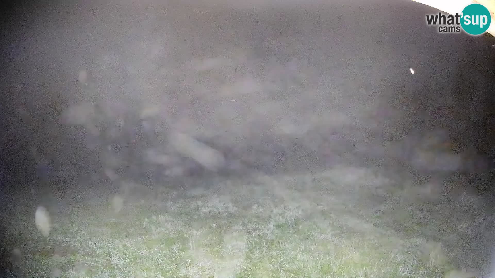 Kamera uživo Bohinjska Bistrica – Pogled u stvarnom vremenu sa skijališta Kozji Hrbet