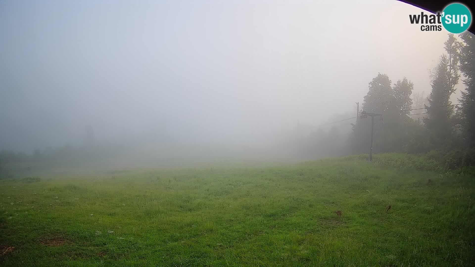 Webcam Bohinjska Bistrica – Vista live dalla stazione sciistica Kozji Hrbet