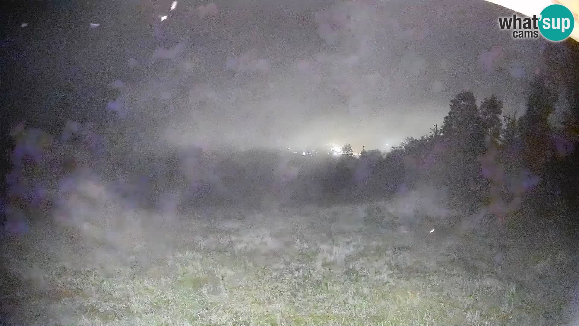 Cámara en vivo Bohinjska Bistrica – Vista en directo desde la estación de esquí Kozji Hrbet