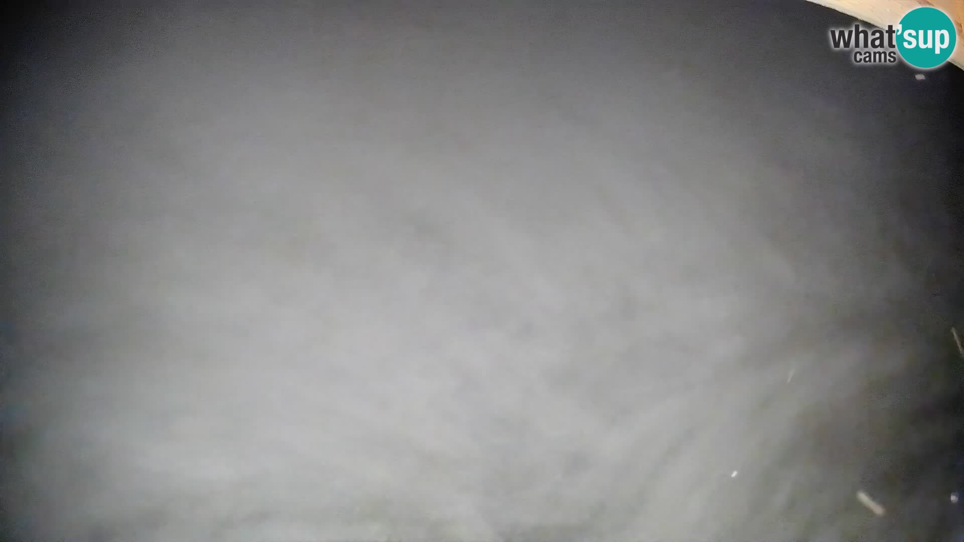 Cámara en vivo Bohinjska Bistrica – Vista en directo desde la estación de esquí Kozji Hrbet