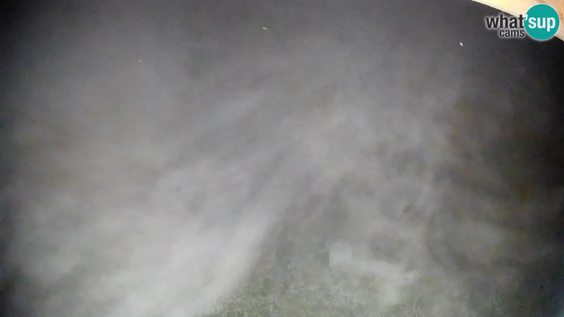 Livekamera Bohinjska Bistrica – Liveblick von der Skistation Kozji Hrbet