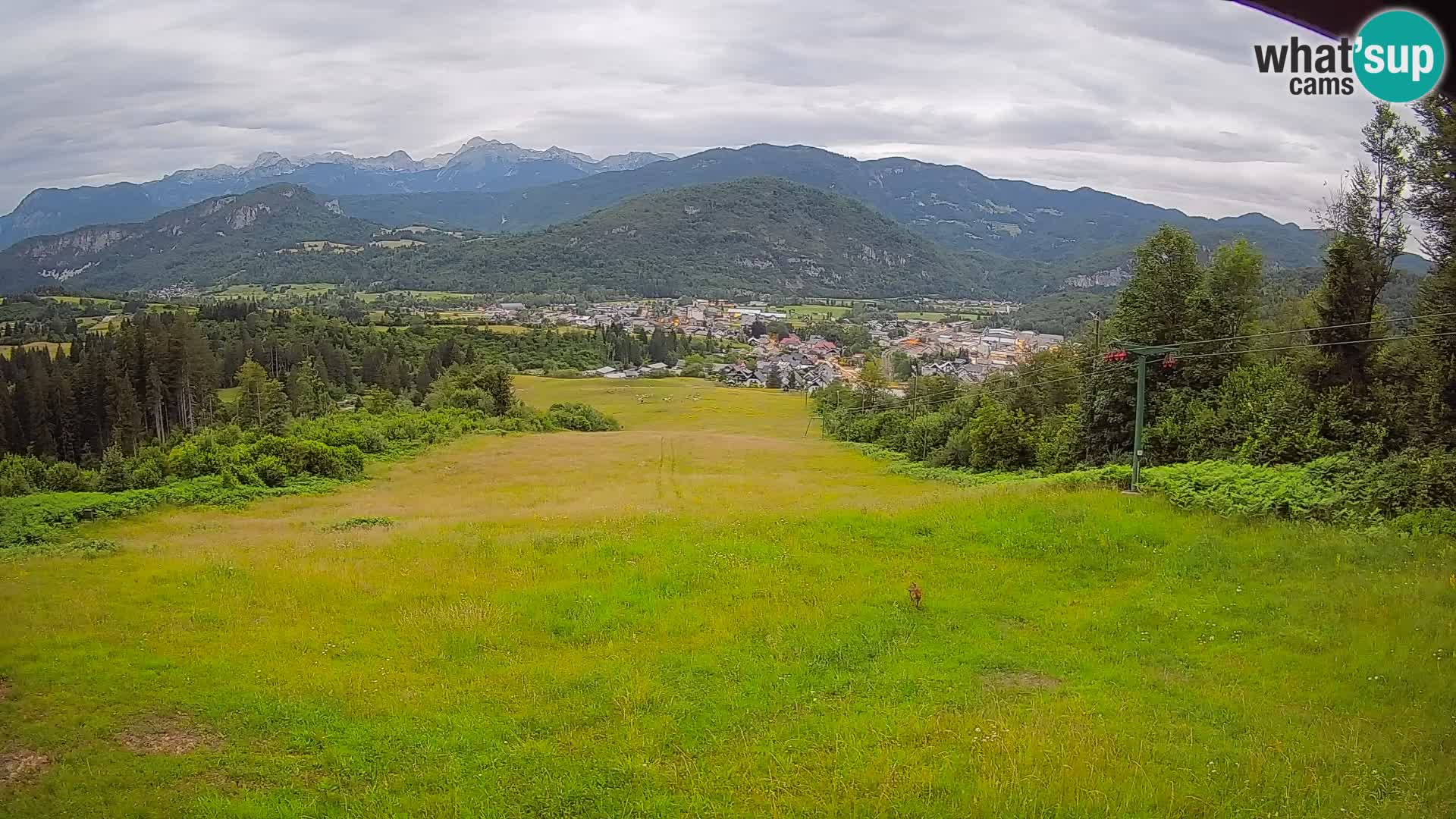 Webcam Bohinjska Bistrica – Vue en direct depuis la station de ski Kozji Hrbet