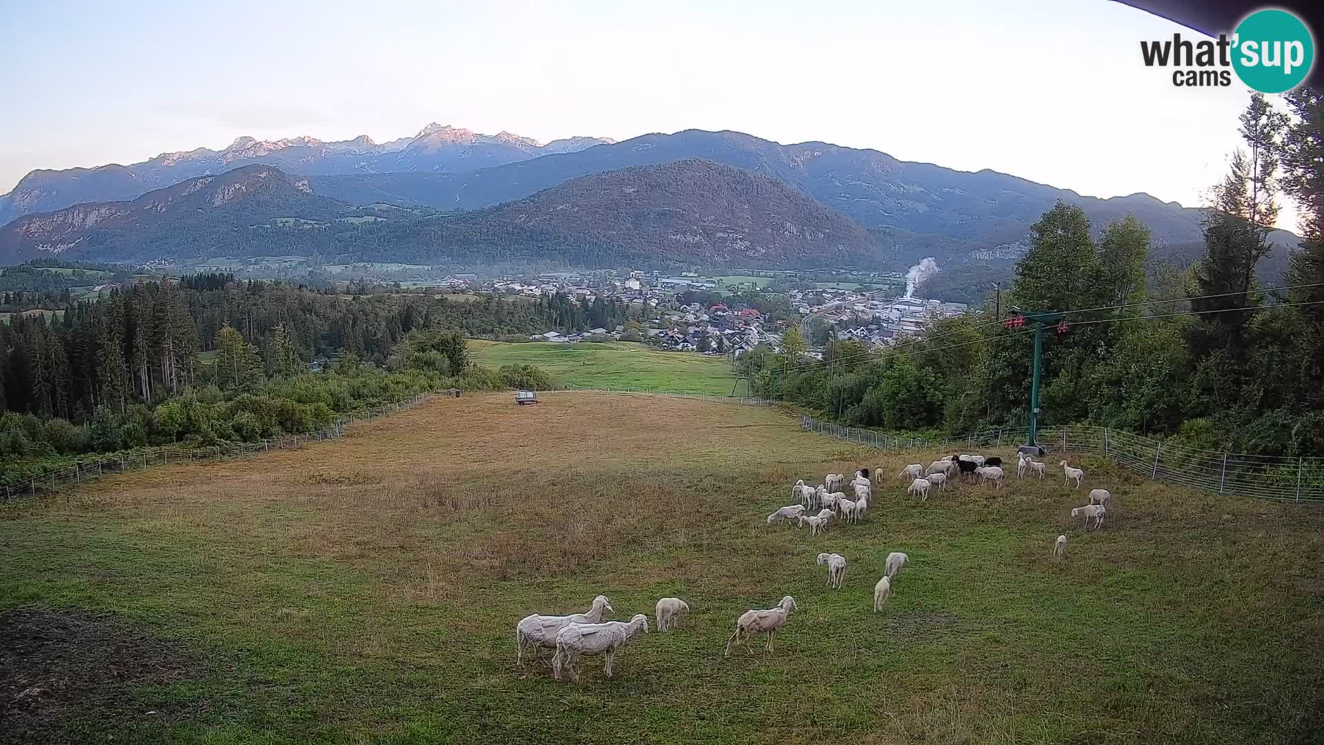 Spletna kamera Bohinjska Bistrica – Pogled v živo s smučišča Kozji Hrbet