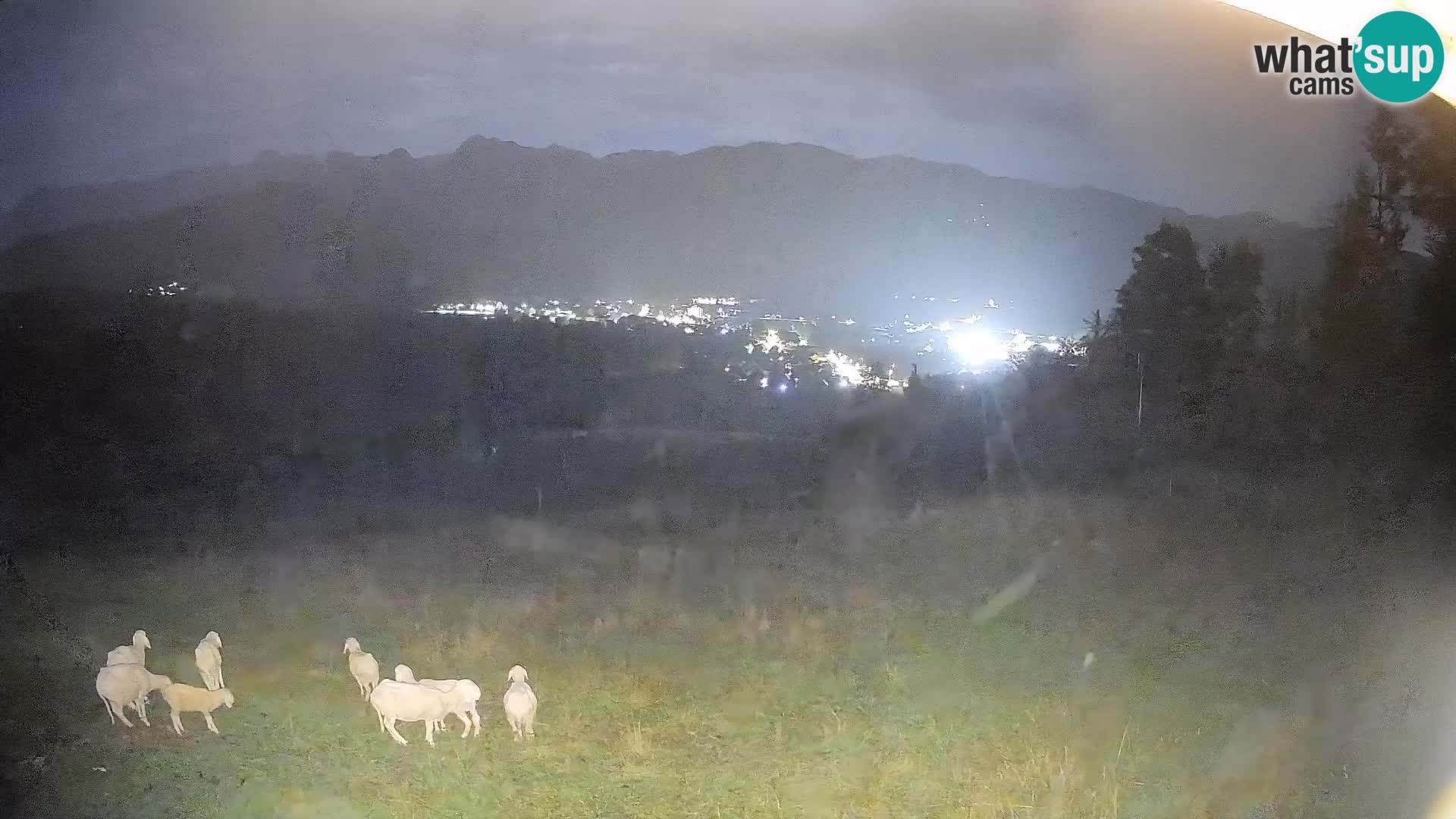Webcam Bohinjska Bistrica – Vista live dalla stazione sciistica Kozji Hrbet