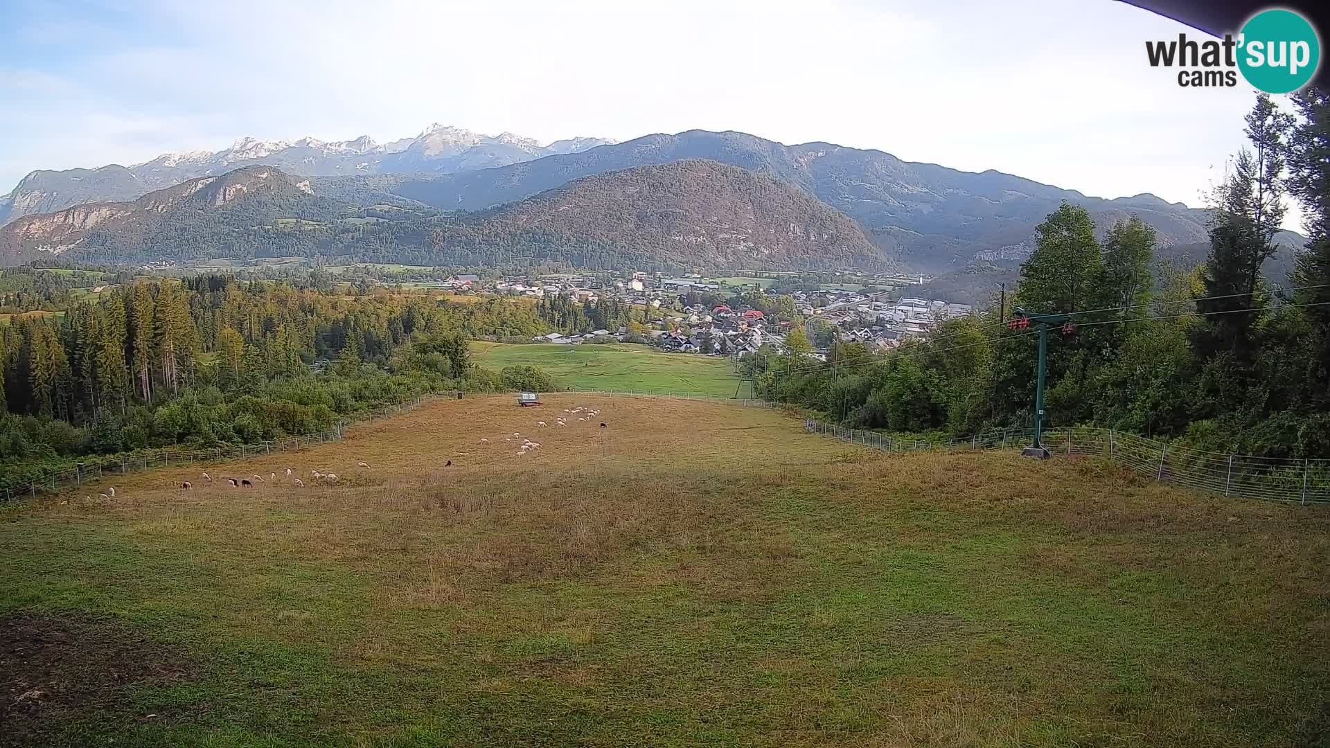 Spletna kamera Bohinjska Bistrica – Pogled v živo s smučišča Kozji Hrbet
