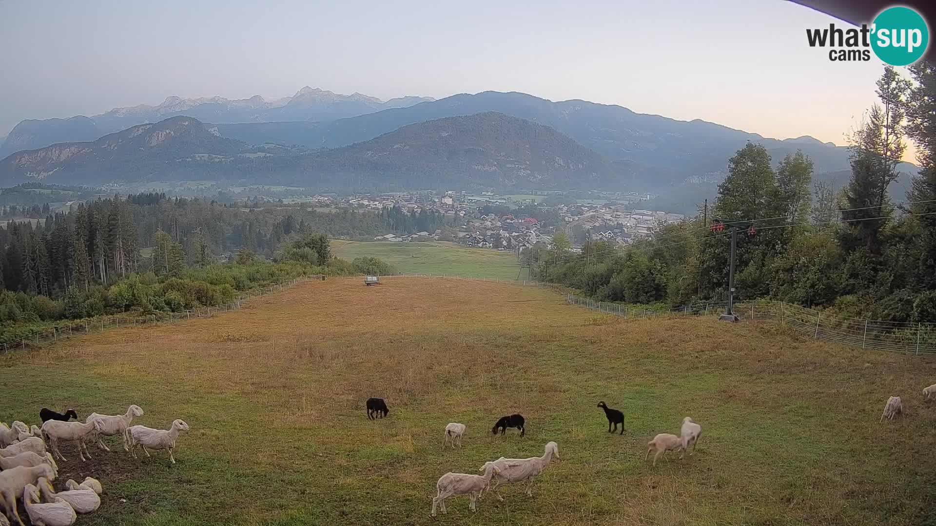 Webcam Bohinjska Bistrica – Live View from Kozji Hrbet Ski Station