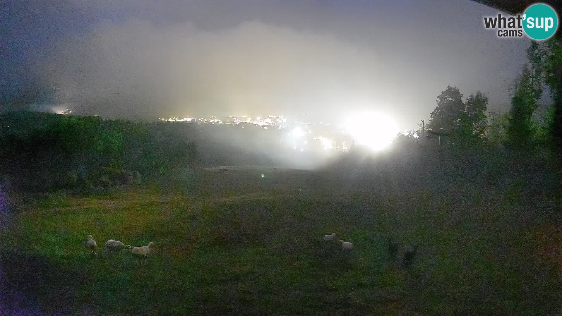 Webcam Bohinjska Bistrica – Live View from Kozji Hrbet Ski Station