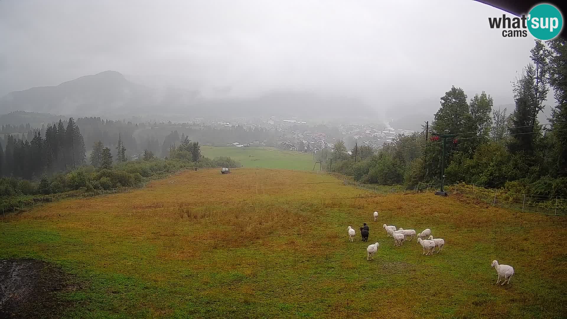 Kamera uživo Bohinjska Bistrica – Pogled u stvarnom vremenu sa skijališta Kozji Hrbet