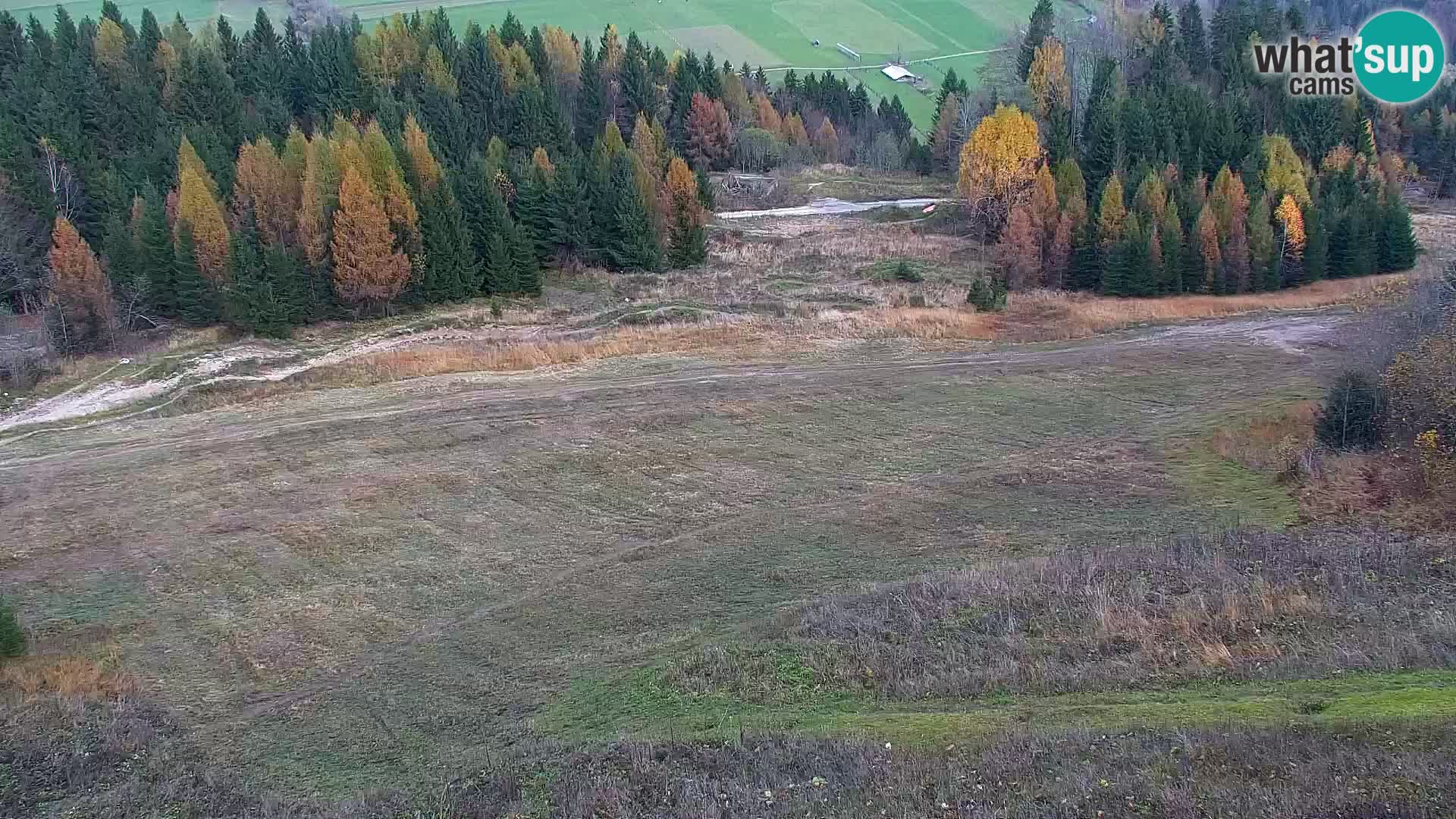 Vitranc Kranjska Gora webcam | VITRANC 1 stazione superiore