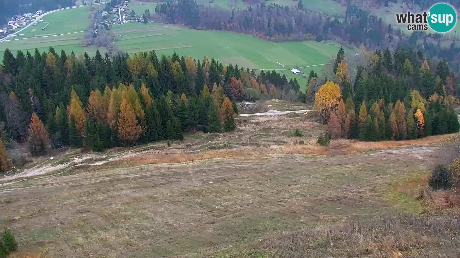 Vitranc Kranjska Gora webcam | VITRANC 1 stazione superiore