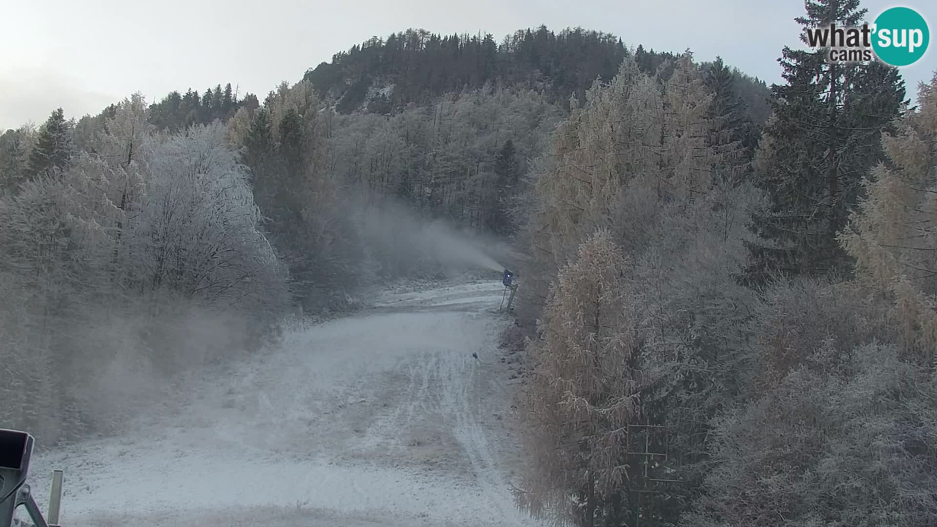 Kranjska Gora web kamera Vitranc | VITRANC 1 gornja postaja