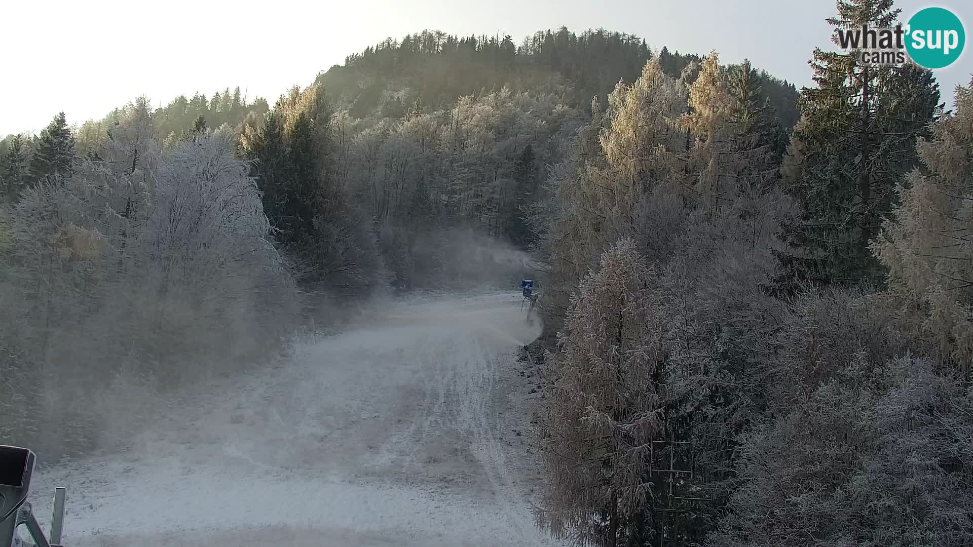 Vitranc Kranjska Gora webcam | VITRANC 1 stazione superiore