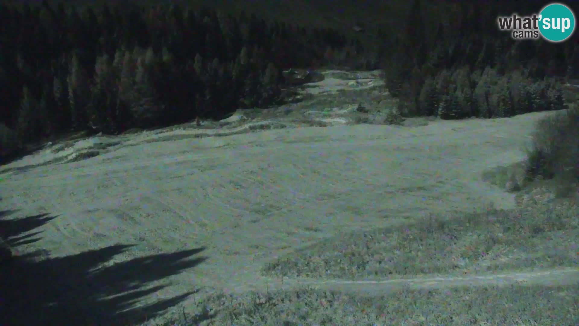 Vitranc Kranjska Gora webcam | VITRANC 1 stazione superiore