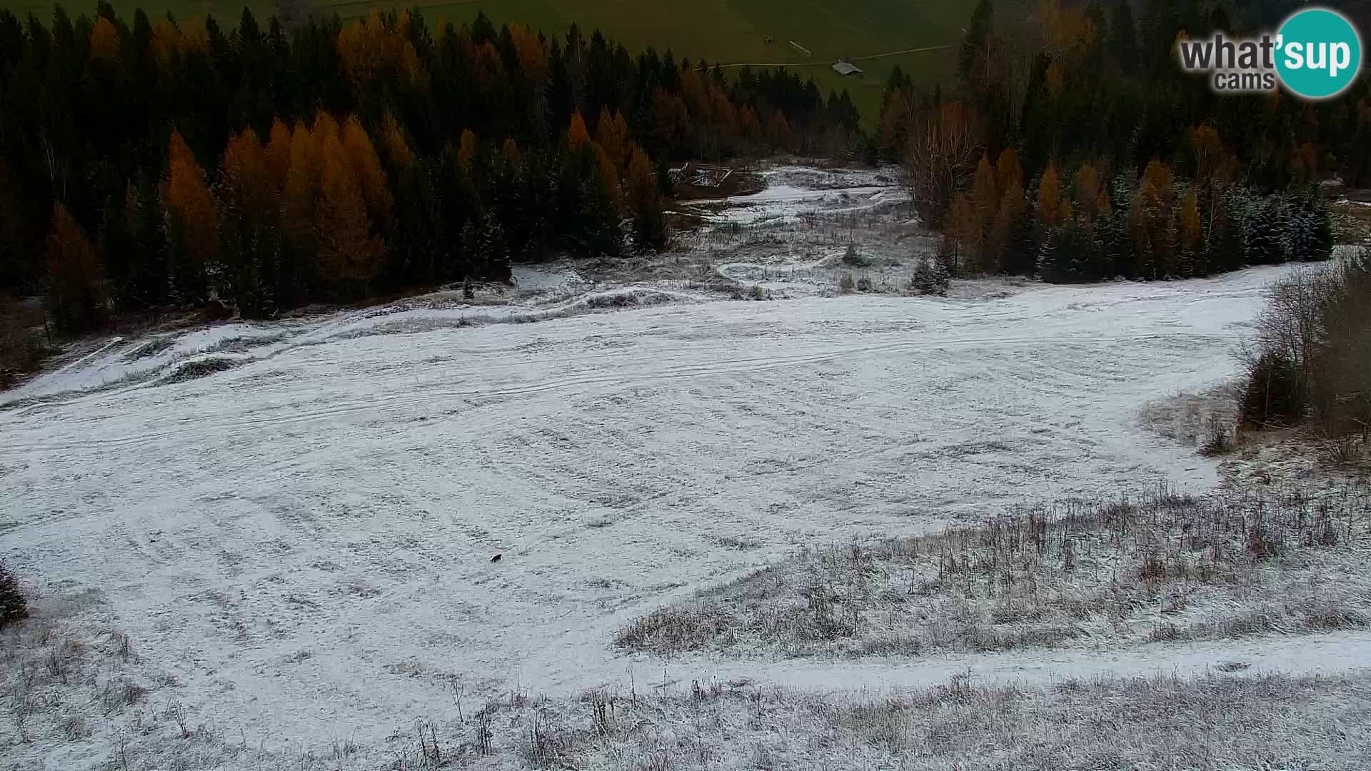 Kranjska Gora webcam VITRANC 1 | obere Station