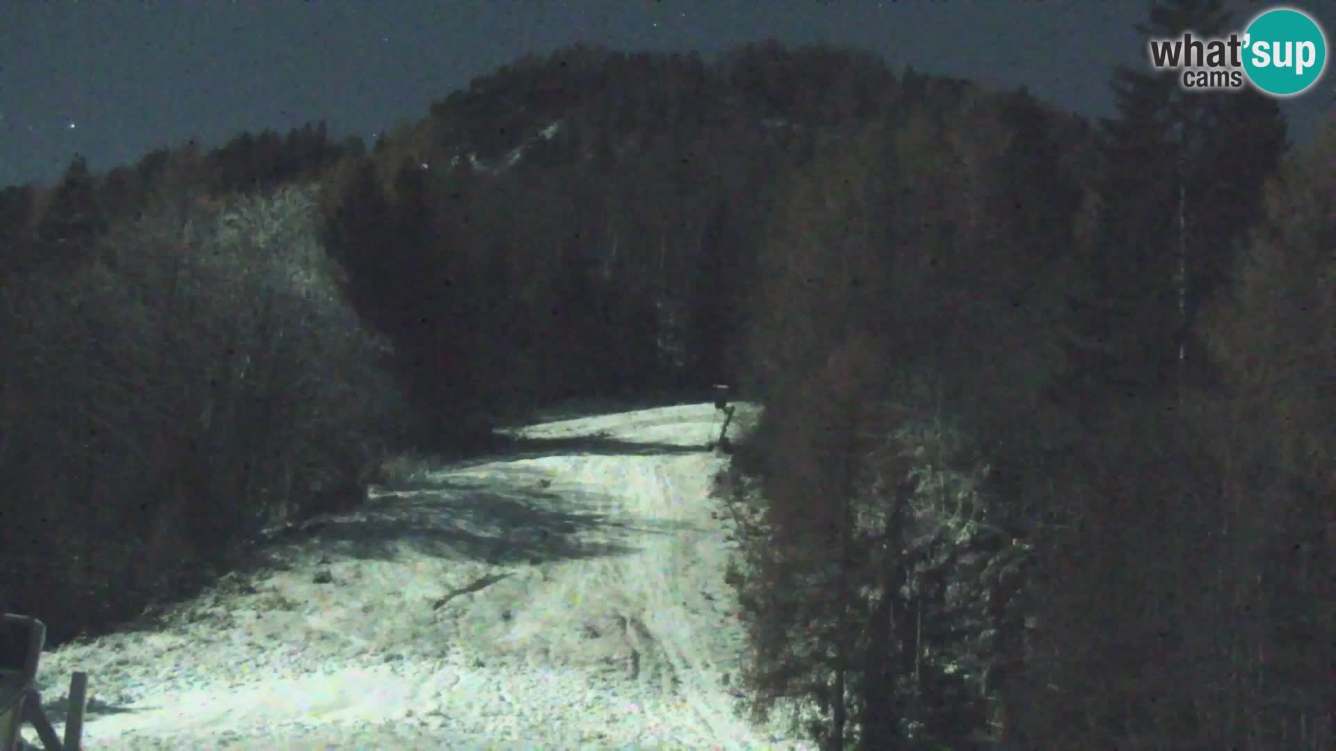 Vitranc Kranjska Gora webcam | VITRANC 1 stazione superiore