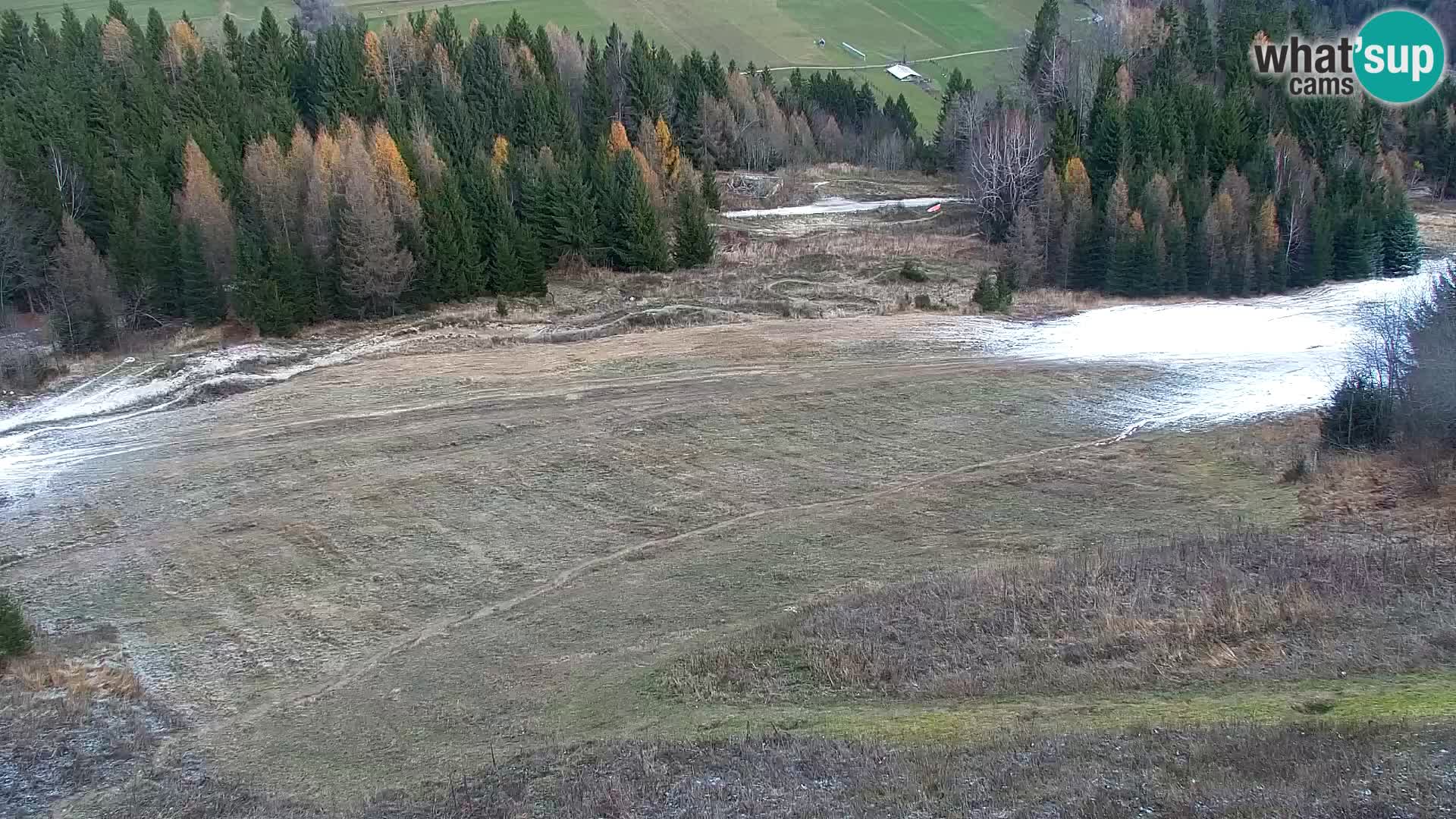 Vitranc Kranjska Gora webcam | VITRANC 1 stazione superiore