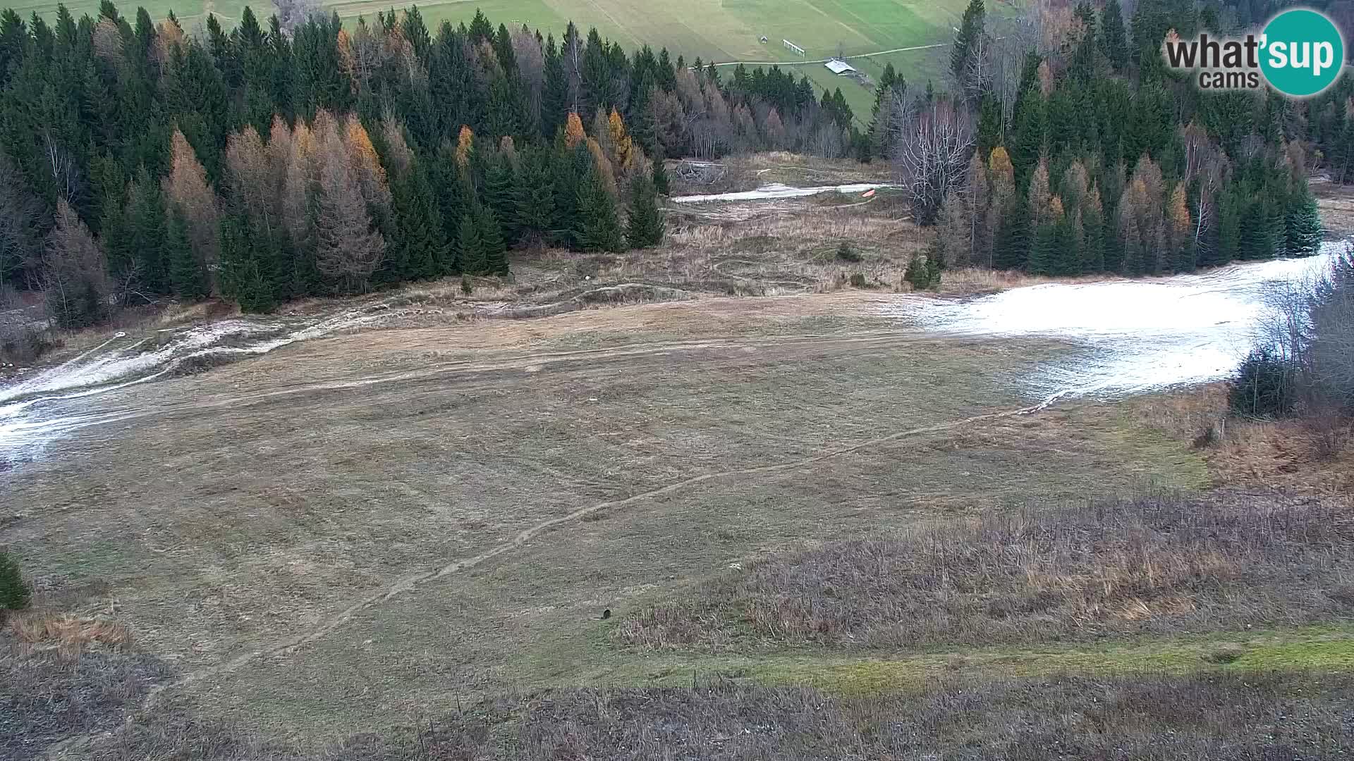 Kranjska Gora web kamera Vitranc | VITRANC 1 gornja postaja