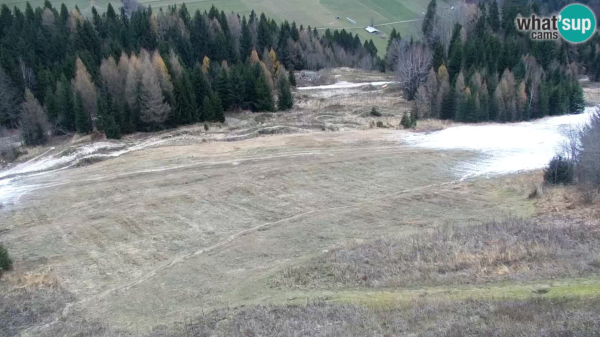 Vitranc Kranjska Gora webcam | VITRANC 1 stazione superiore