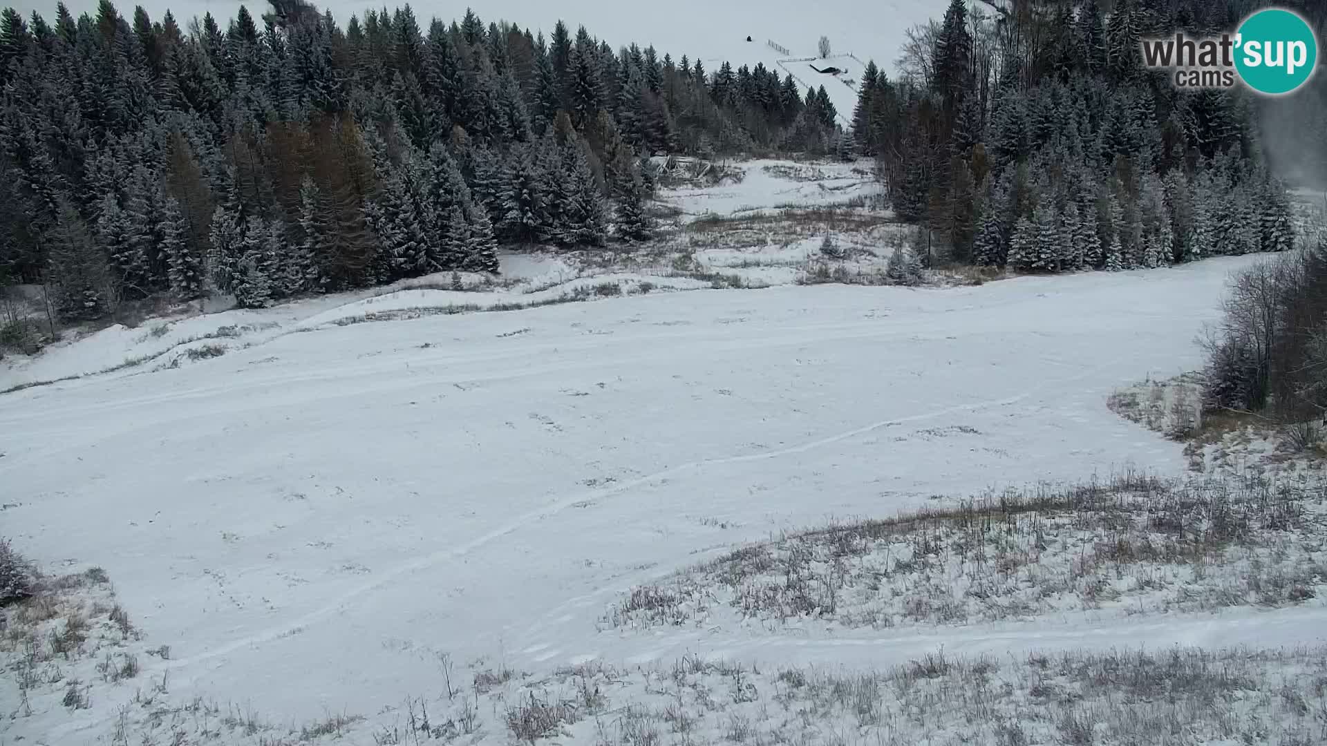 Kranjska Gora web kamera Vitranc | VITRANC 1 gornja postaja