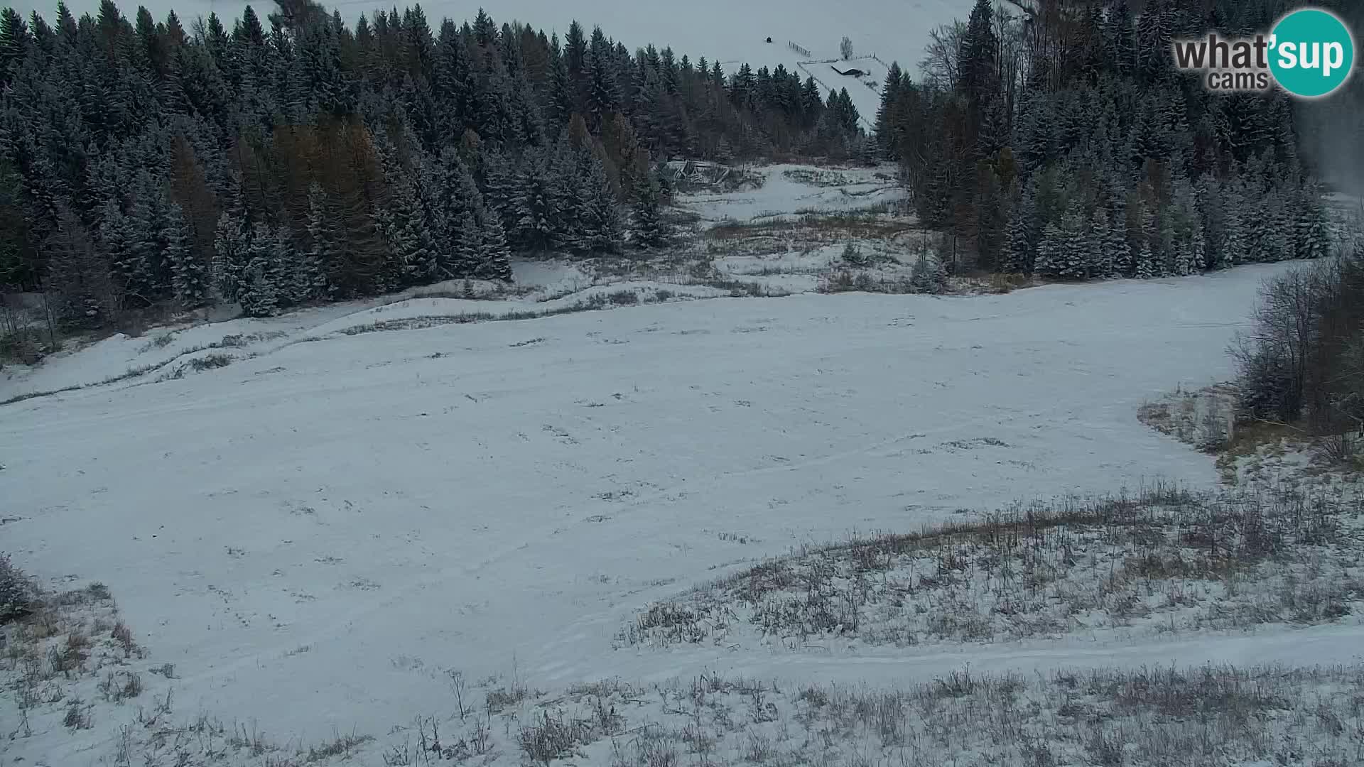 Kranjska Gora web kamera Vitranc | VITRANC 1 gornja postaja