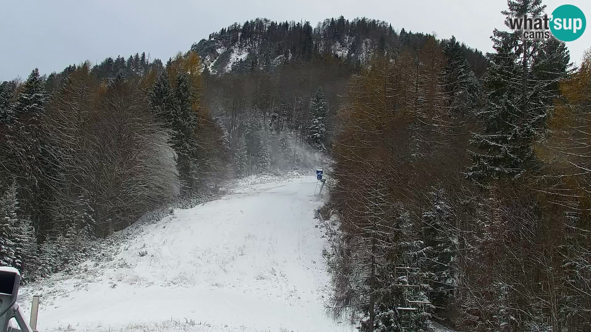 Kranjska Gora web kamera Vitranc | VITRANC 1 gornja postaja