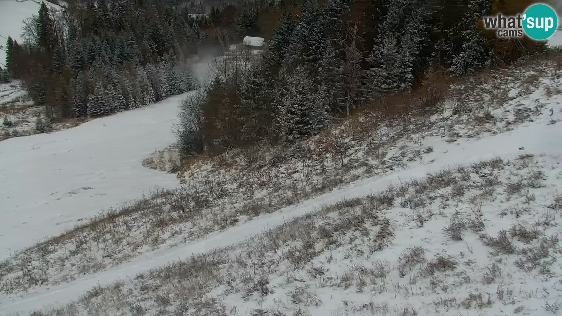 Vitranc Kranjska Gora webcam | VITRANC 1 stazione superiore