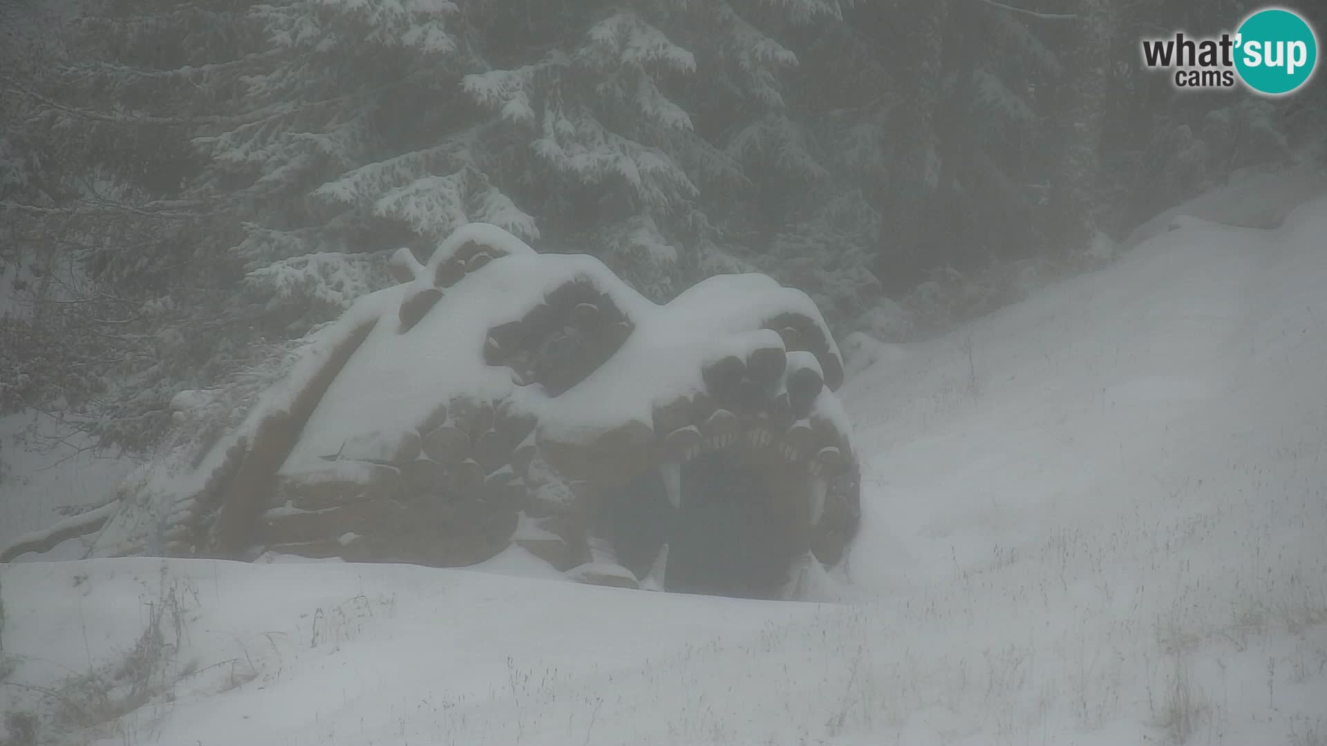 RTC Kranjska Gora – Vitranc