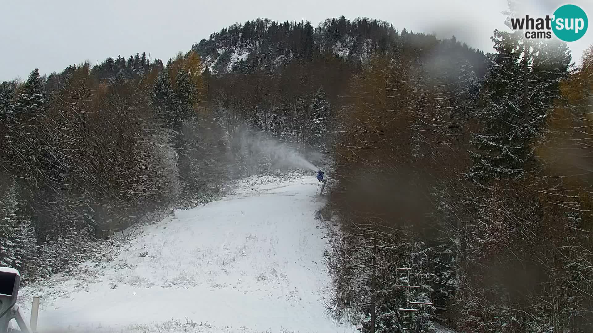 Vitranc Kranjska Gora webcam | VITRANC 1 stazione superiore