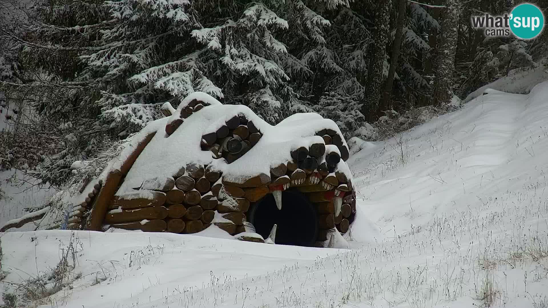 Kranjska Gora web kamera Vitranc | VITRANC 1 gornja postaja