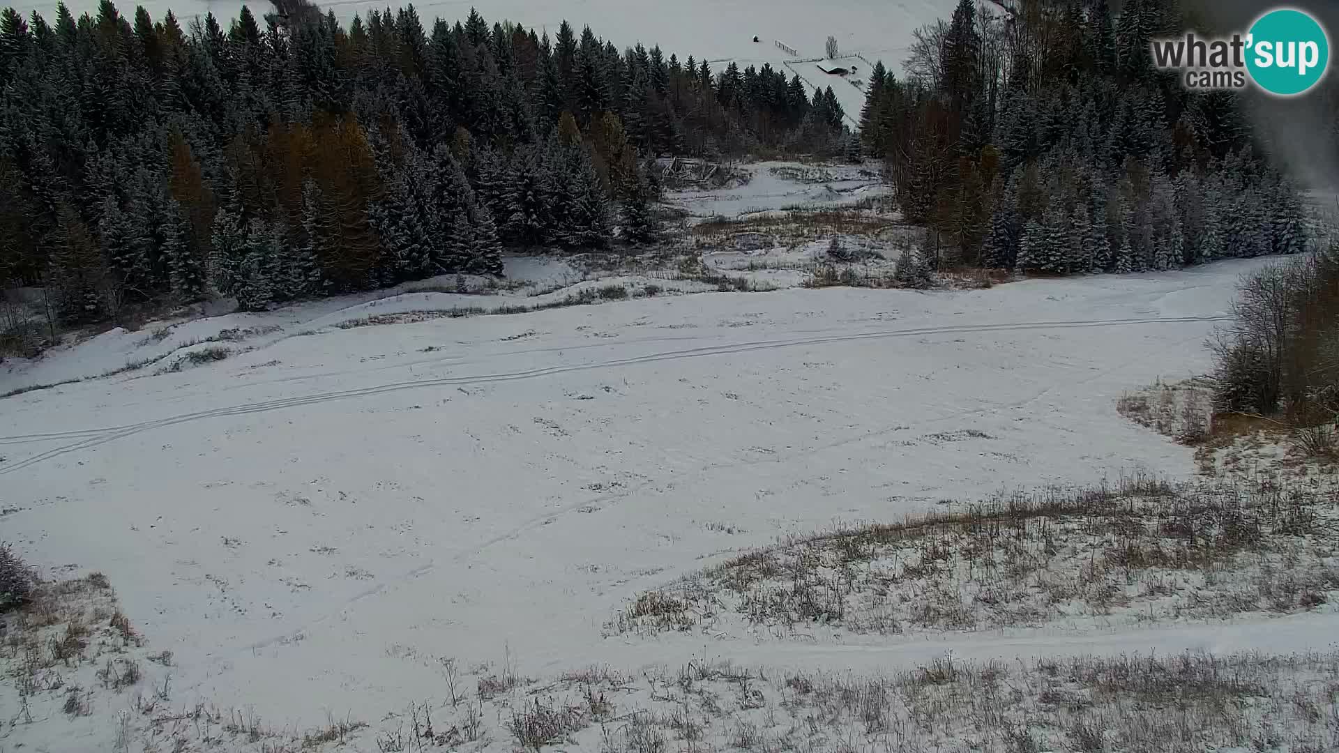 Kranjska Gora web kamera Vitranc | VITRANC 1 gornja postaja